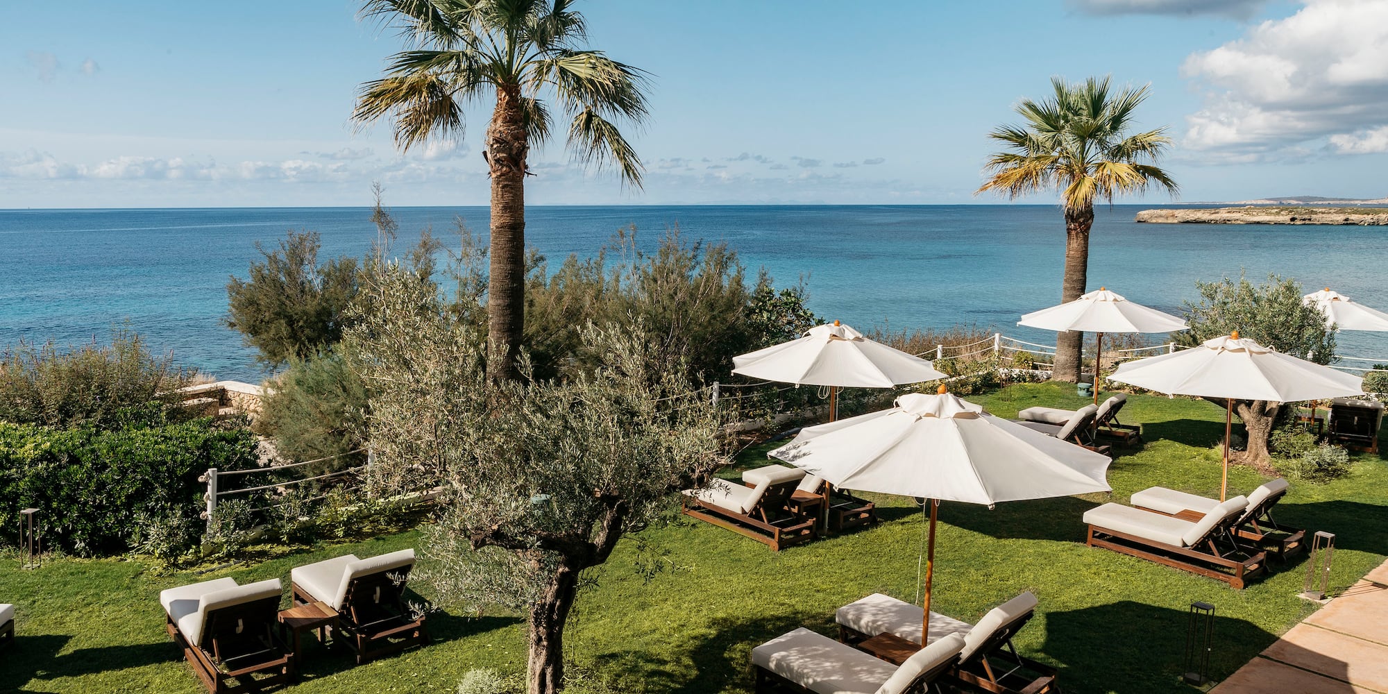 a beach chairs and umbrellas on grass with trees and water in the background