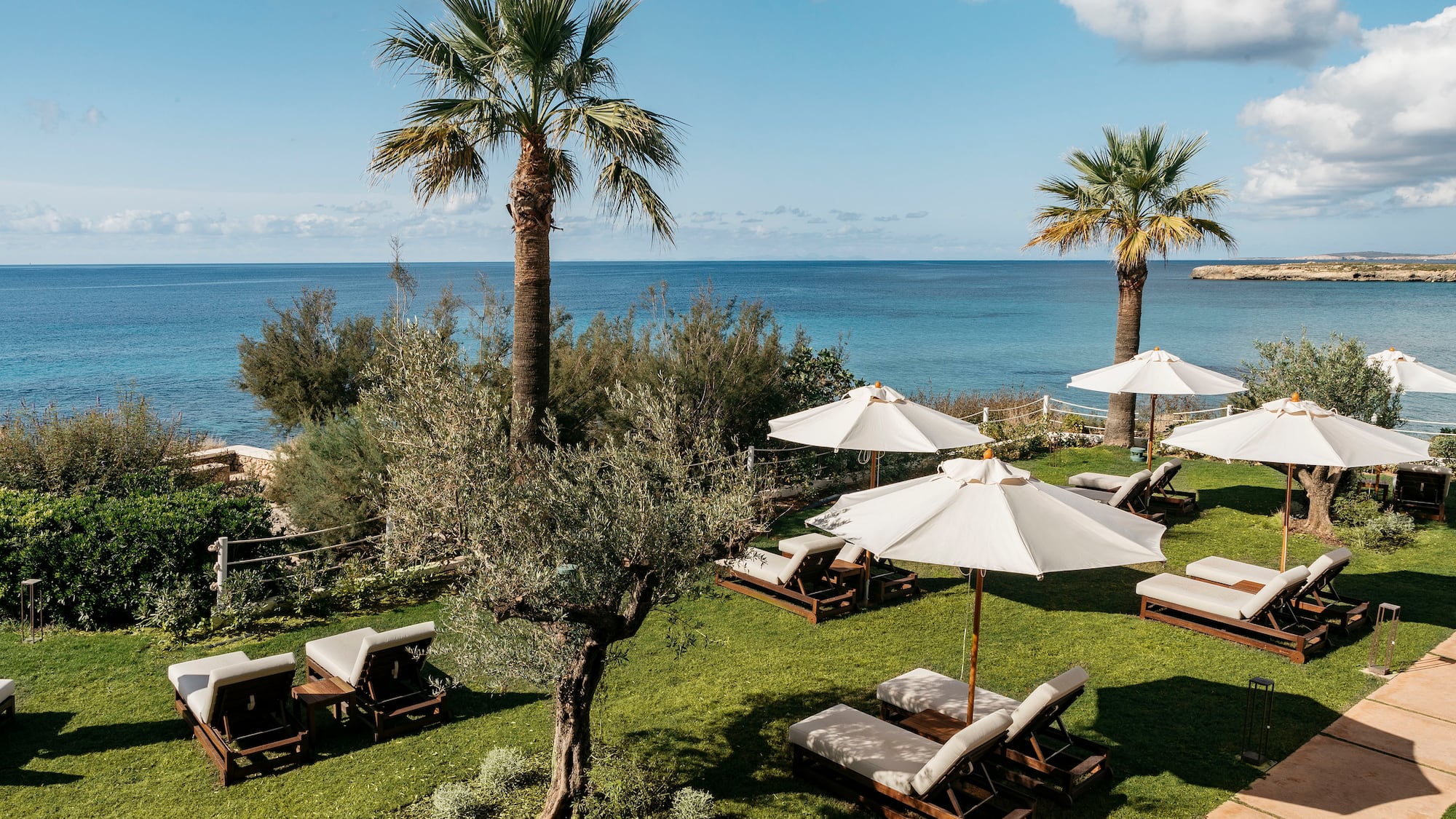 a beach chairs and umbrellas on grass with trees and water in the background