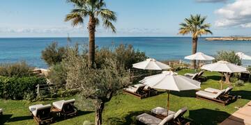a beach chairs and umbrellas on grass with trees and water in the background