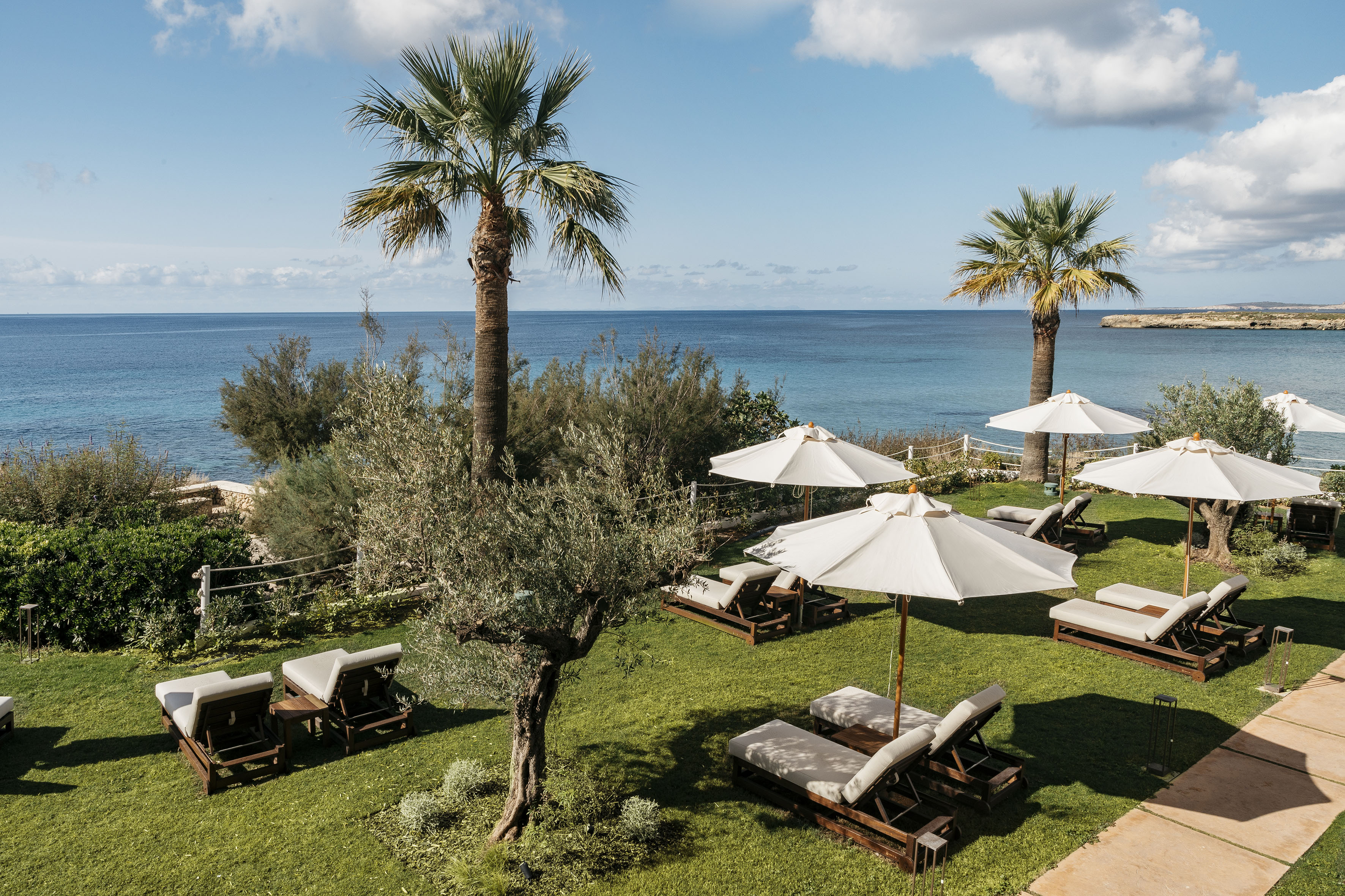 Lawn with sun loungers, umbrellas, palm trees, overlooking blue sea.
