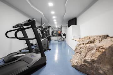 a gym with treadmills and a large rock