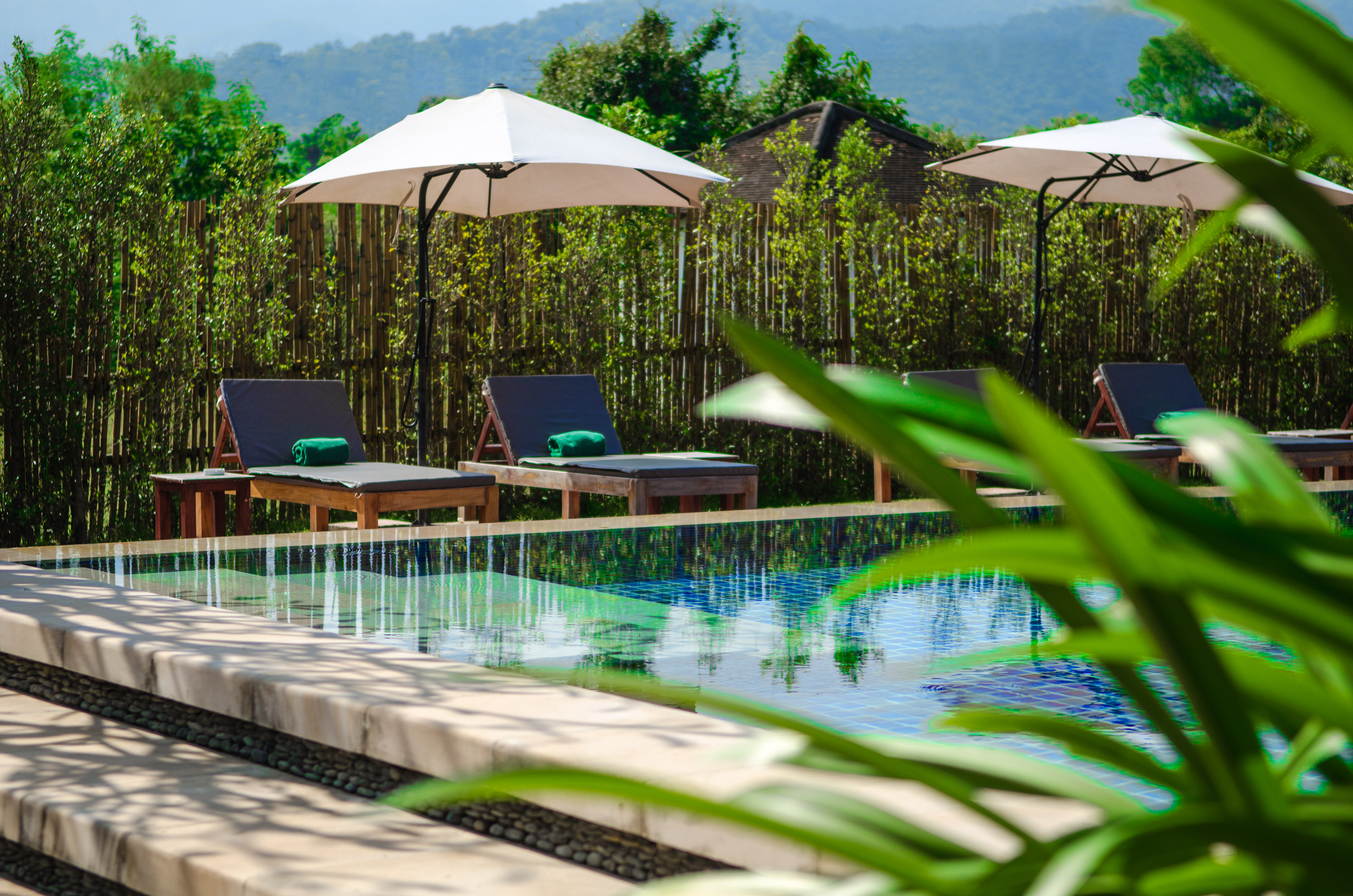 Tropical resort pool with sun loungers, umbrellas, and lush greenery.