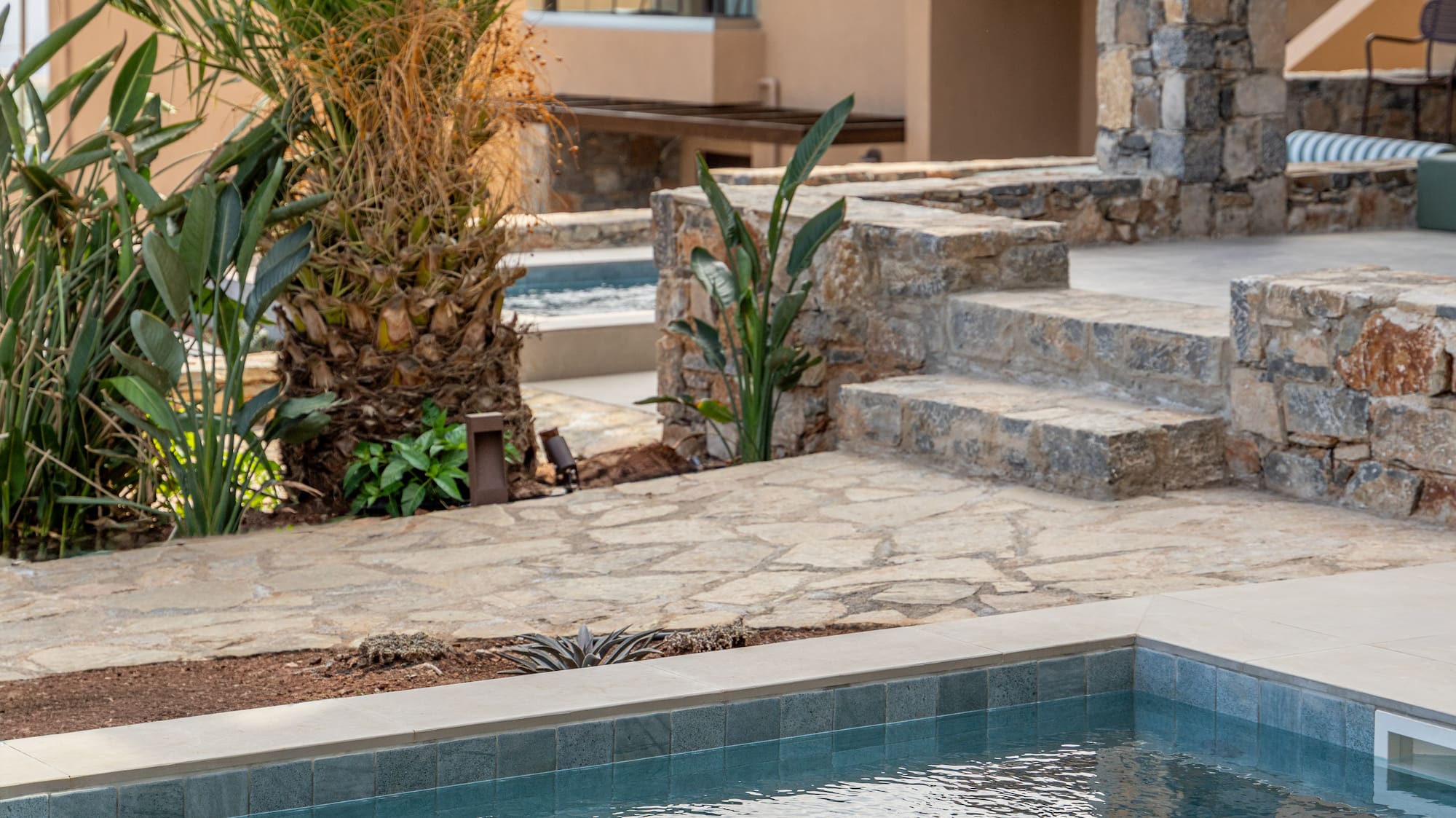 a pool with a palm tree in the background
