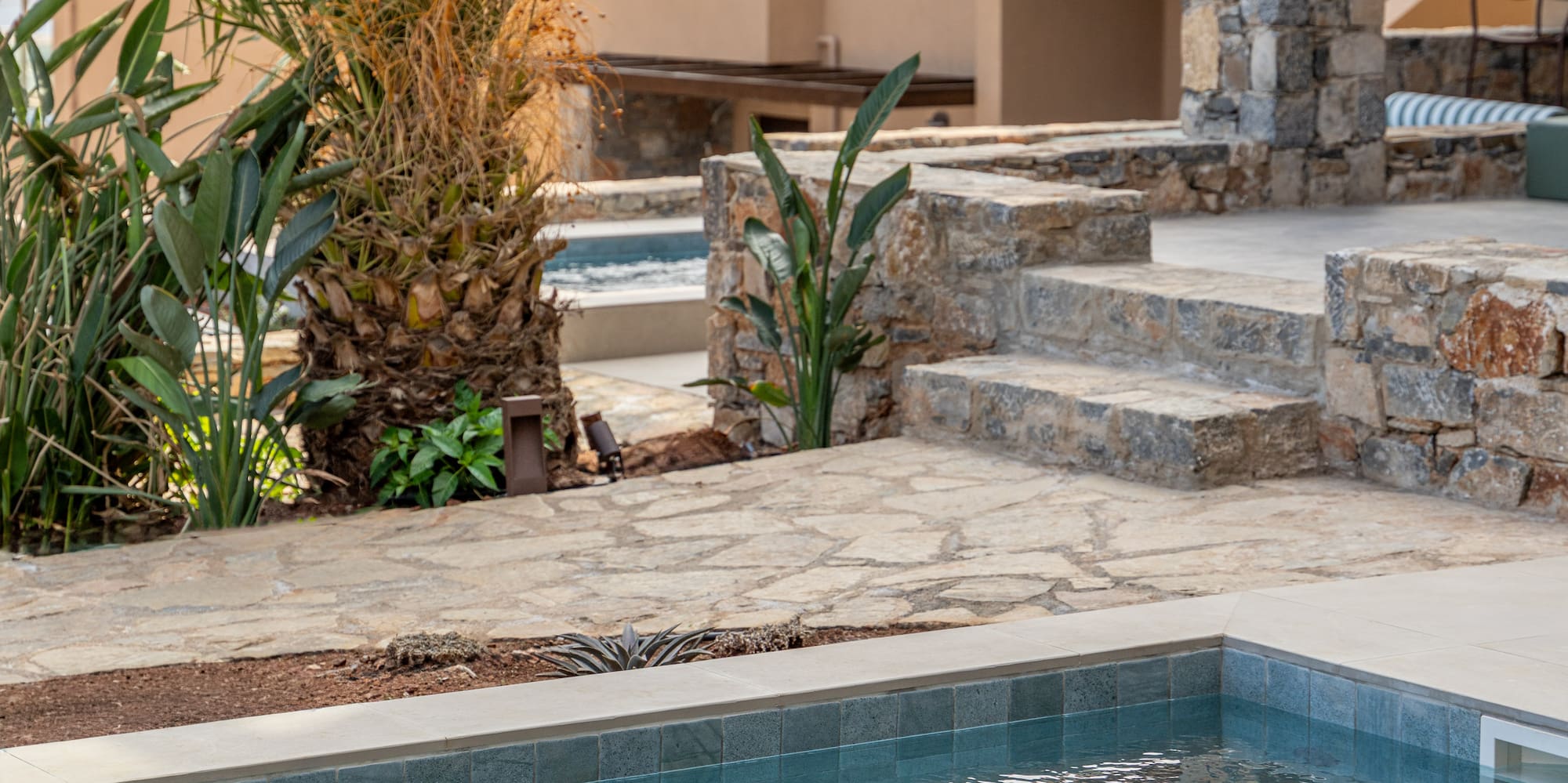 a pool with a palm tree in the background