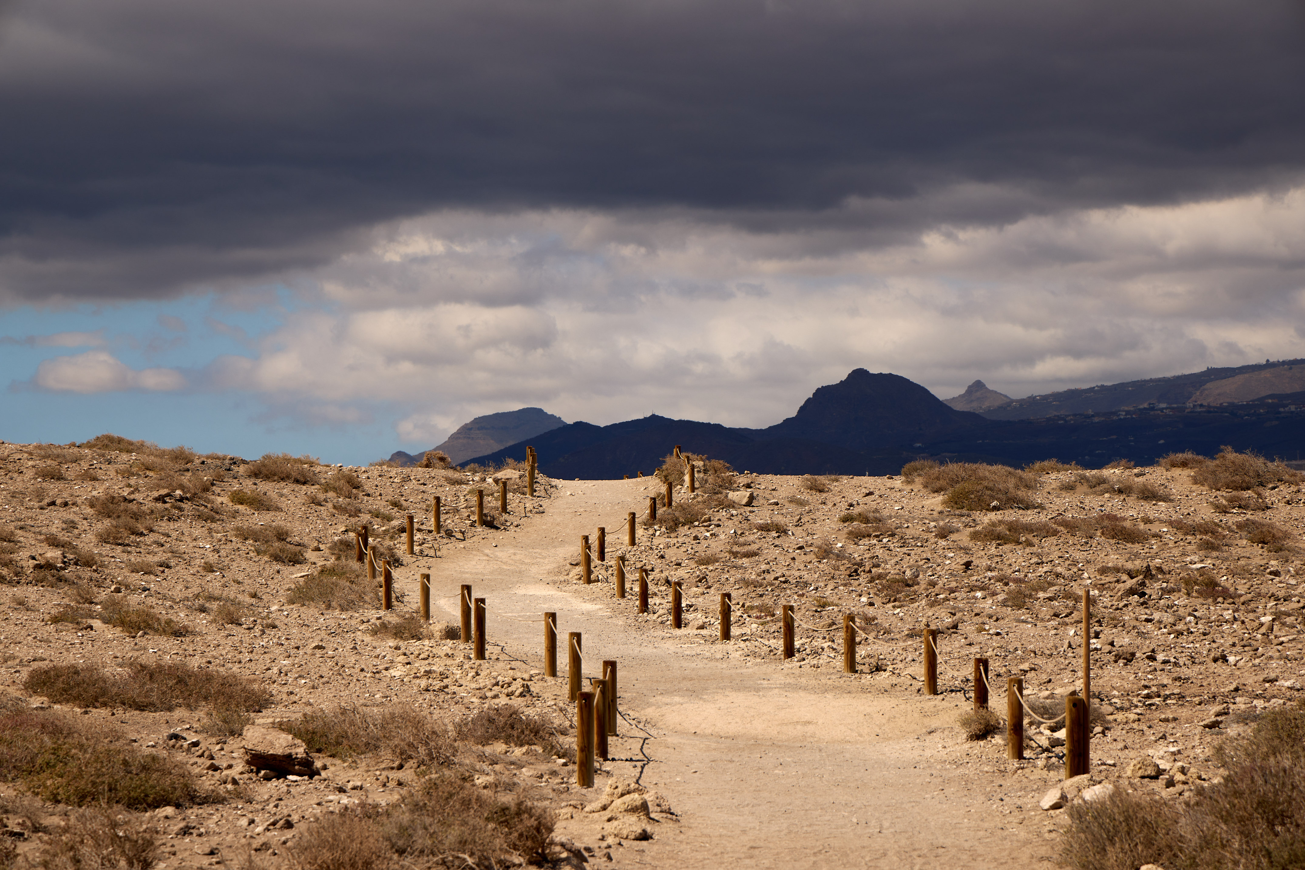 a dirt path with wooden posts and a cloudy sky