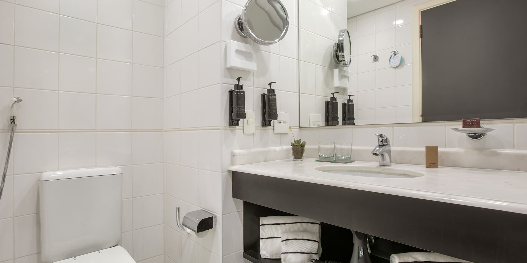 a bathroom with a sink and toilet