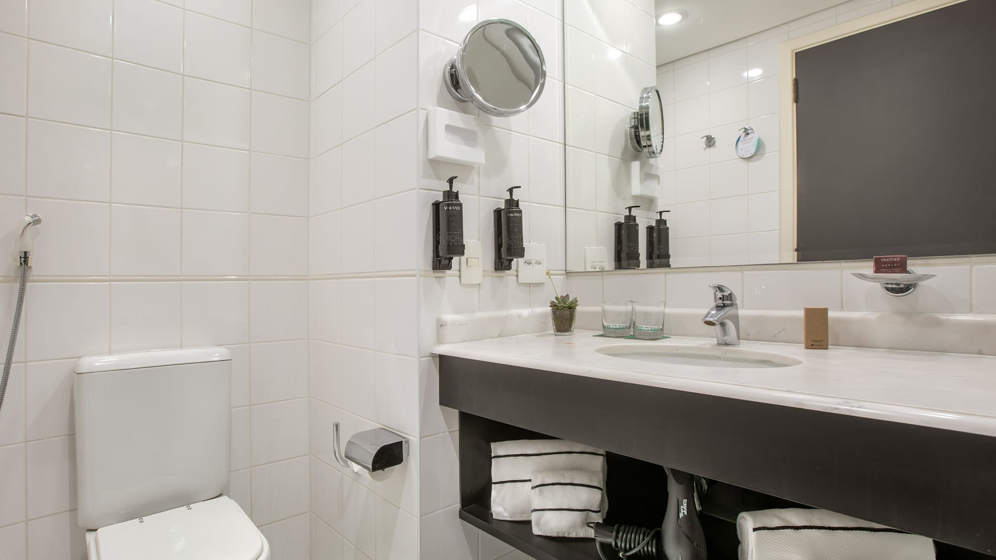 a bathroom with a sink and toilet