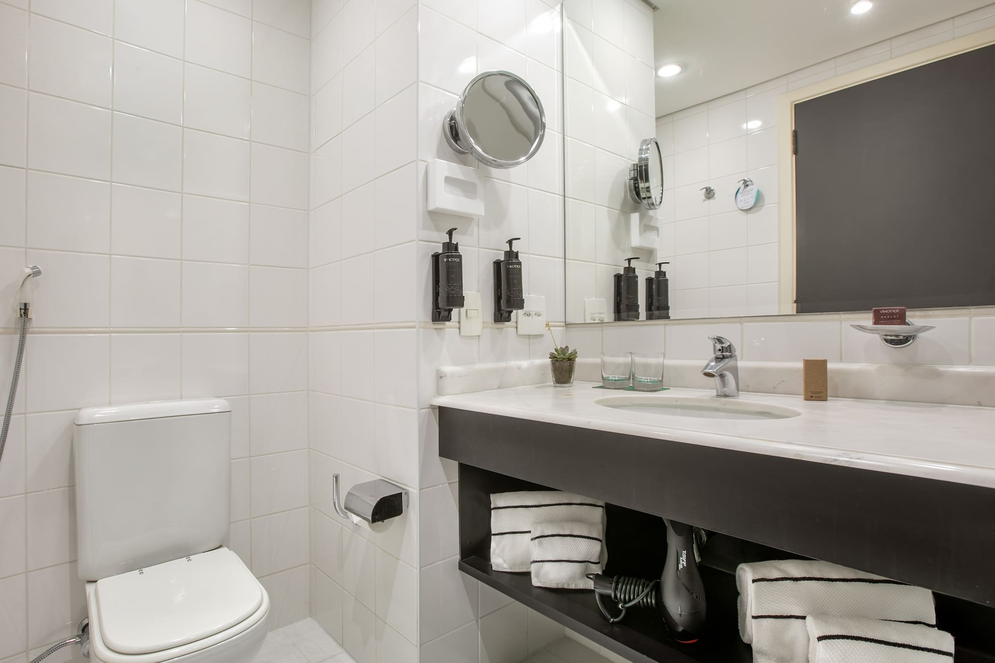 a bathroom with a sink and toilet