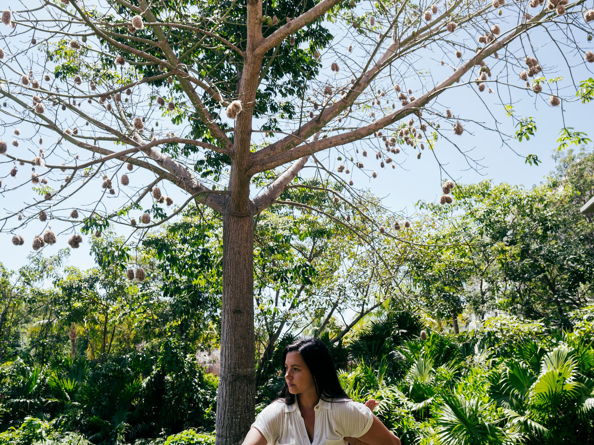 a woman sitting on a rock under a tree