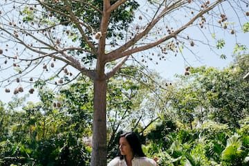 a woman sitting on a rock under a tree