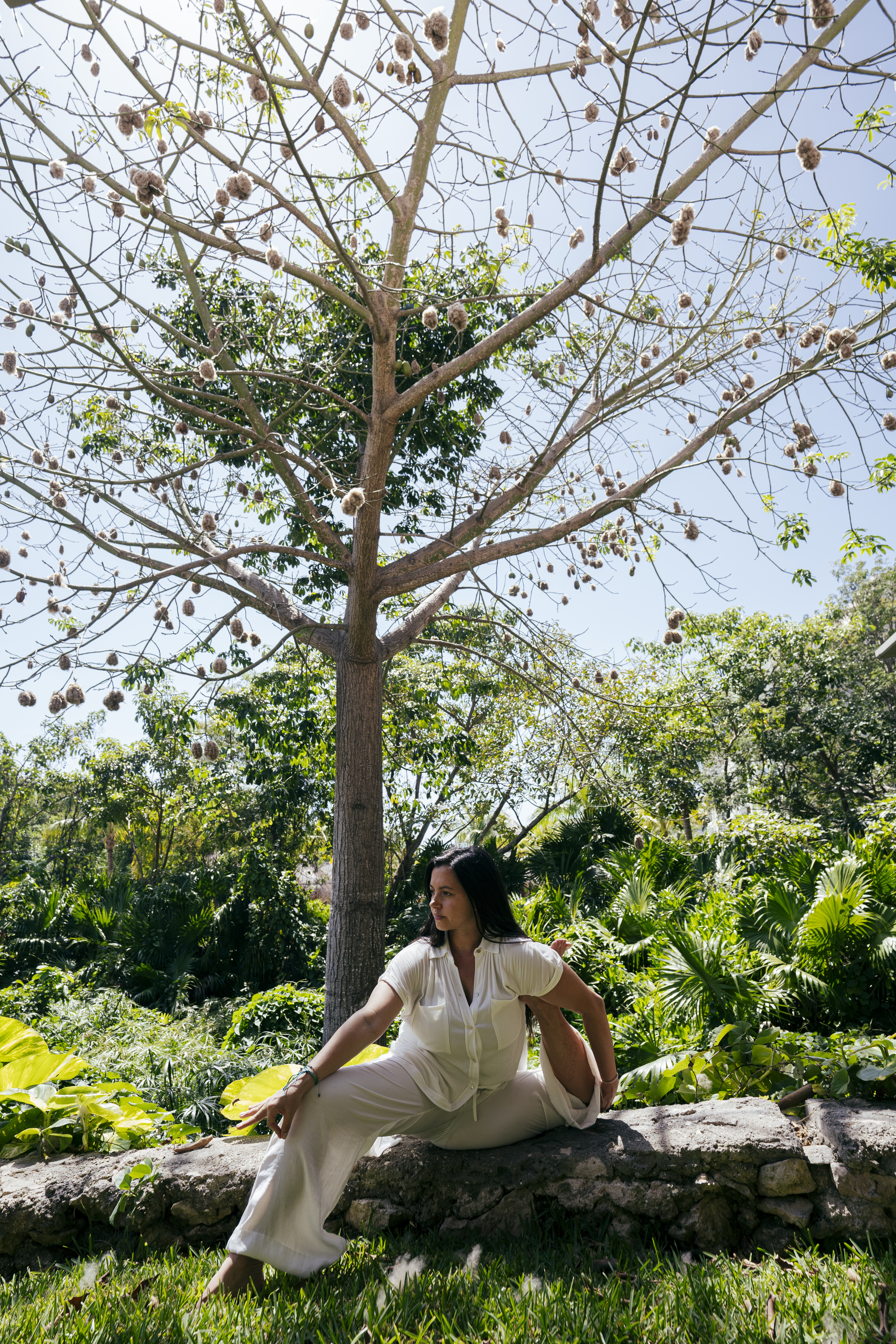 a woman sitting on a rock under a tree