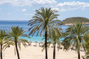 a group of palm trees on a beach