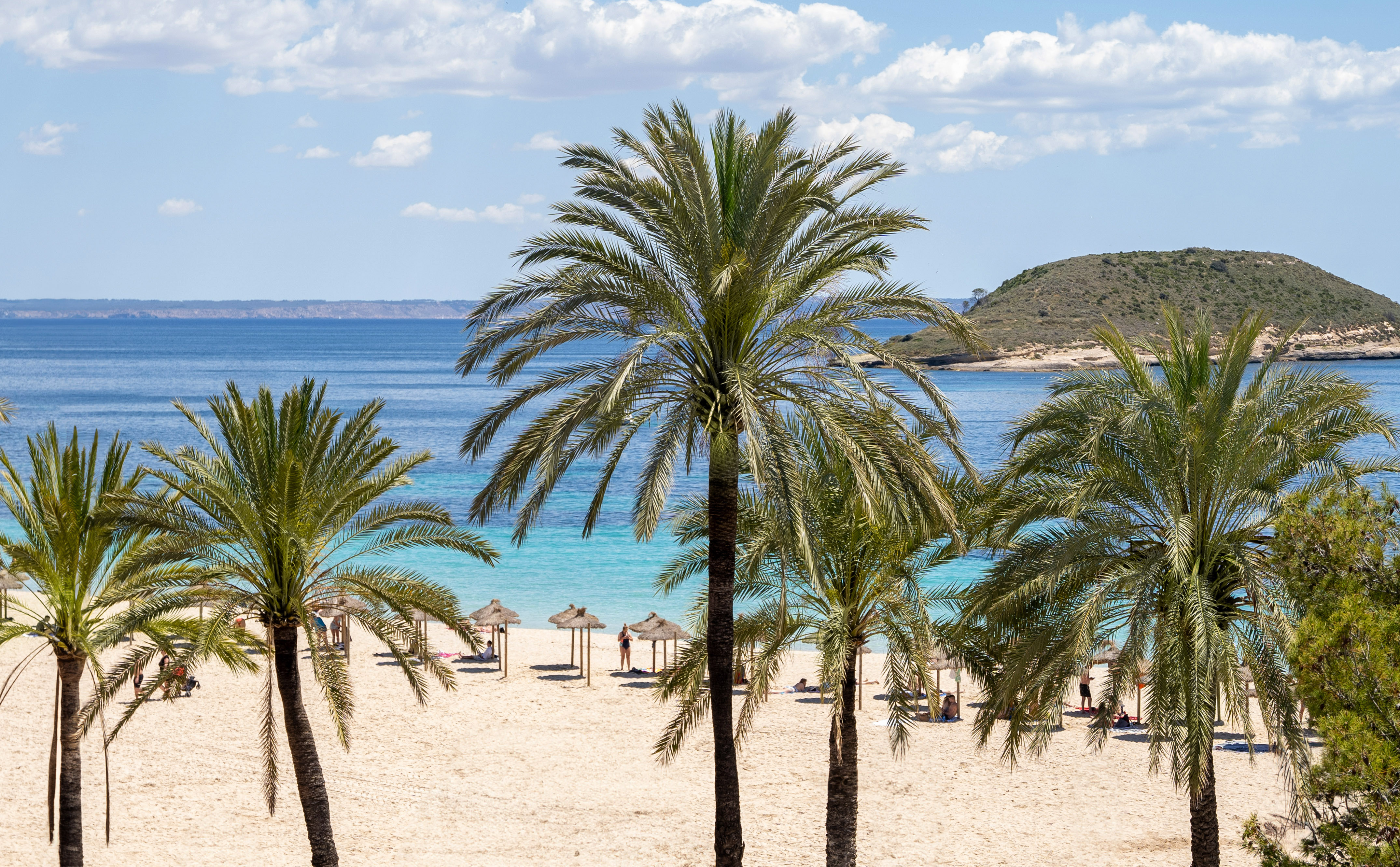 Sunny beach, palm trees, turquoise sea, sandy shore, distant island.