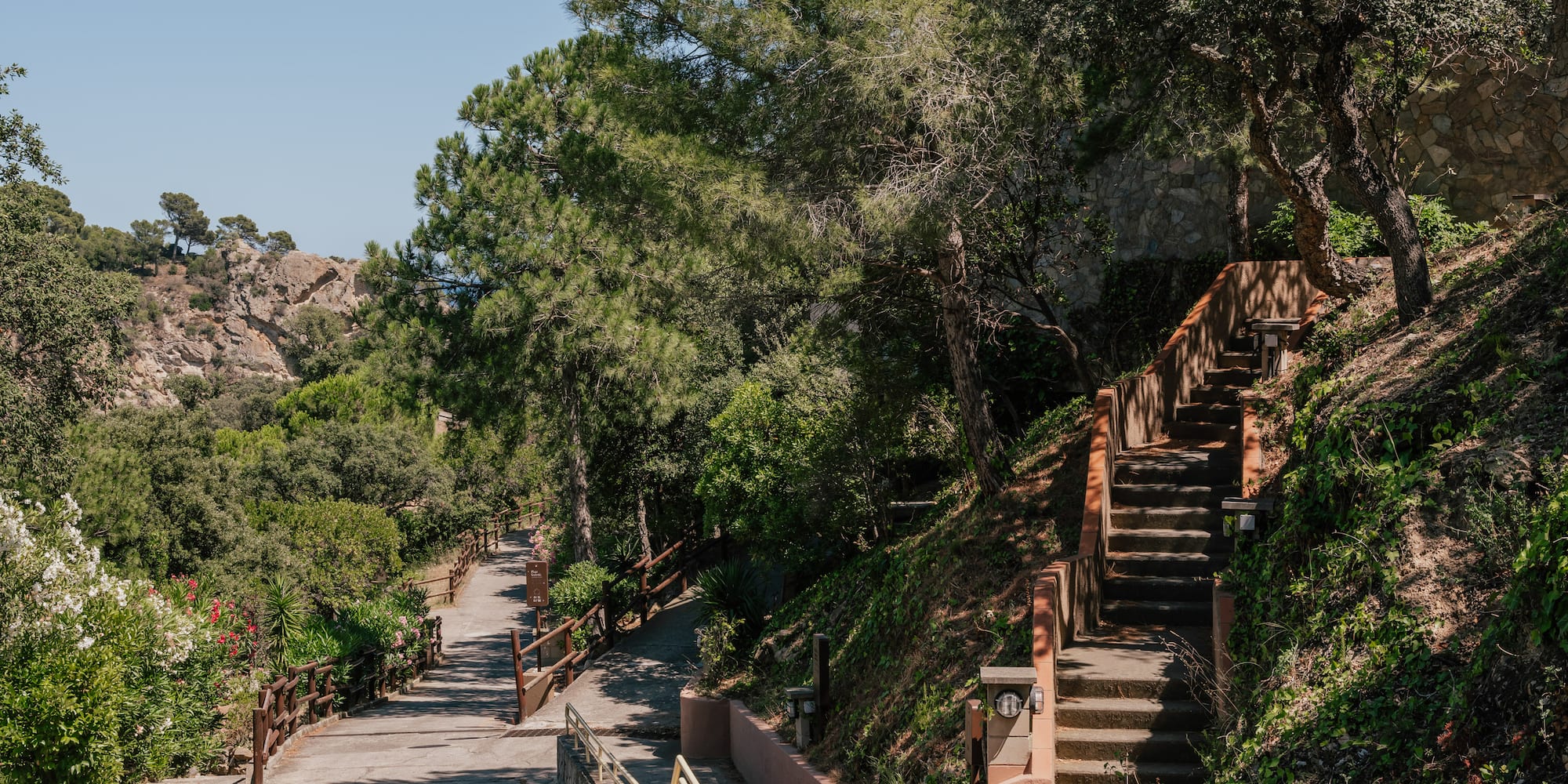 a path with stairs and trees on a hill