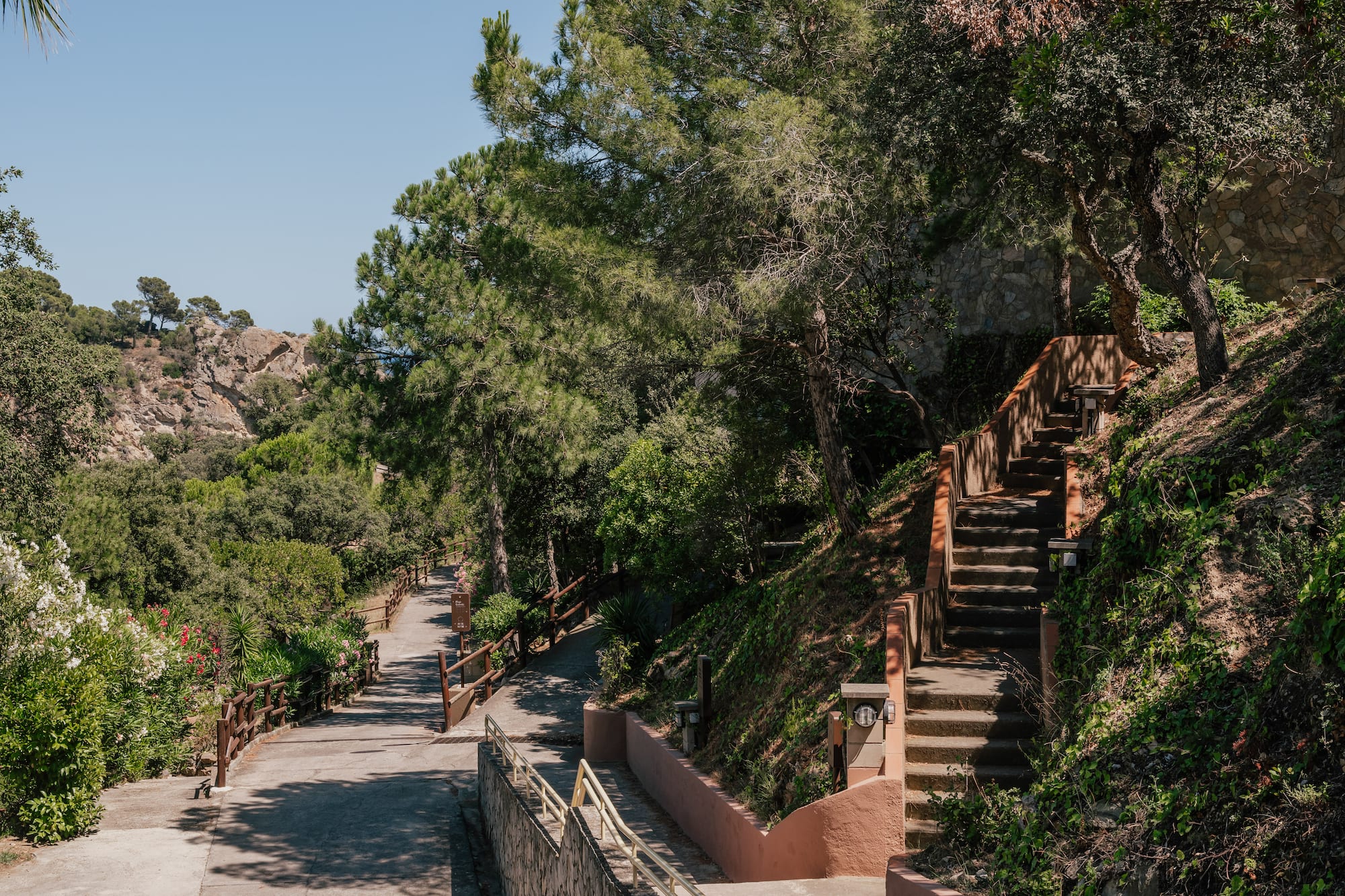 Winding concrete path, stairs, lush trees, and stone walls on a sunny day.