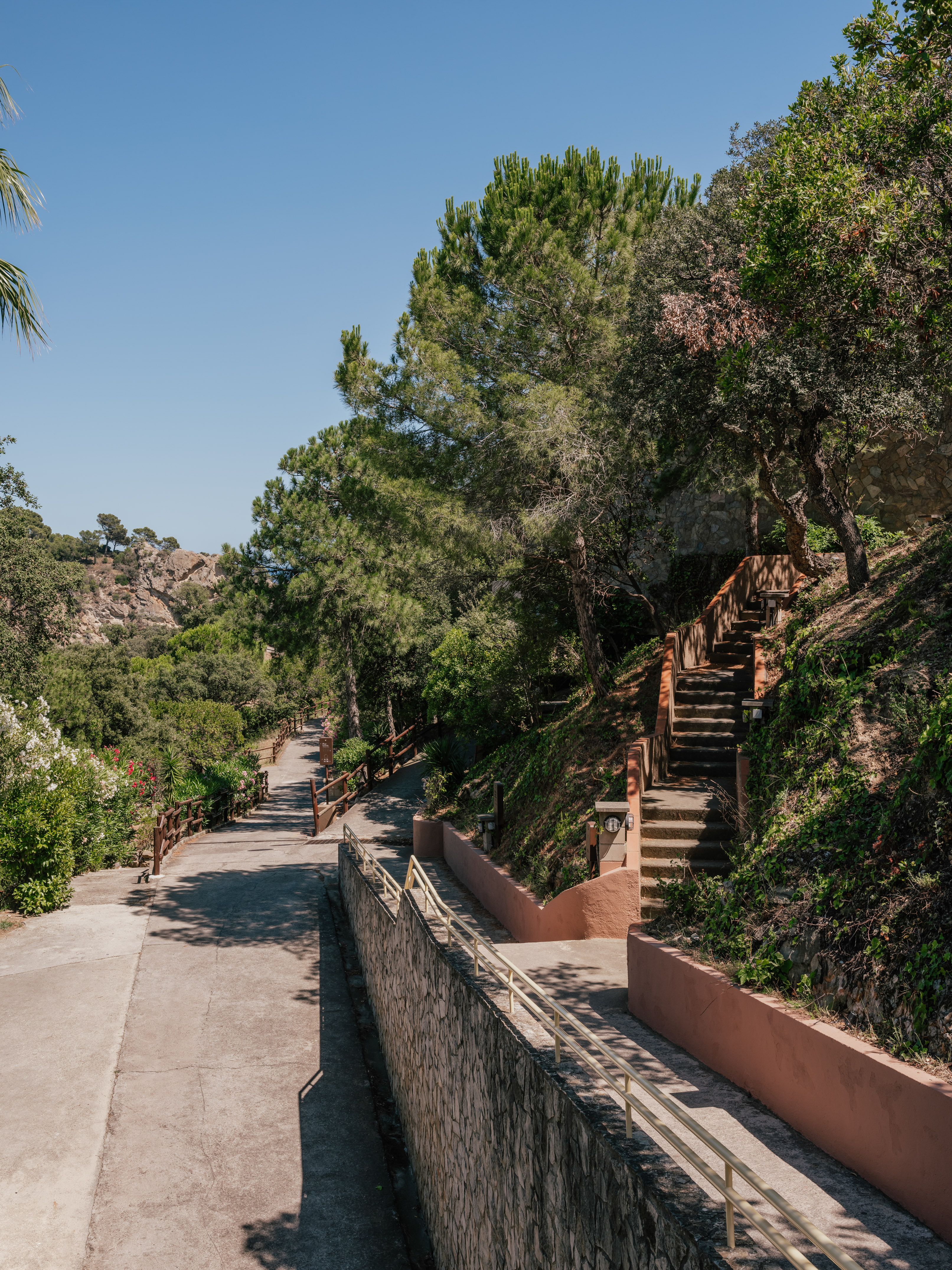 Winding concrete path, stairs, lush trees, and stone walls on a sunny day.