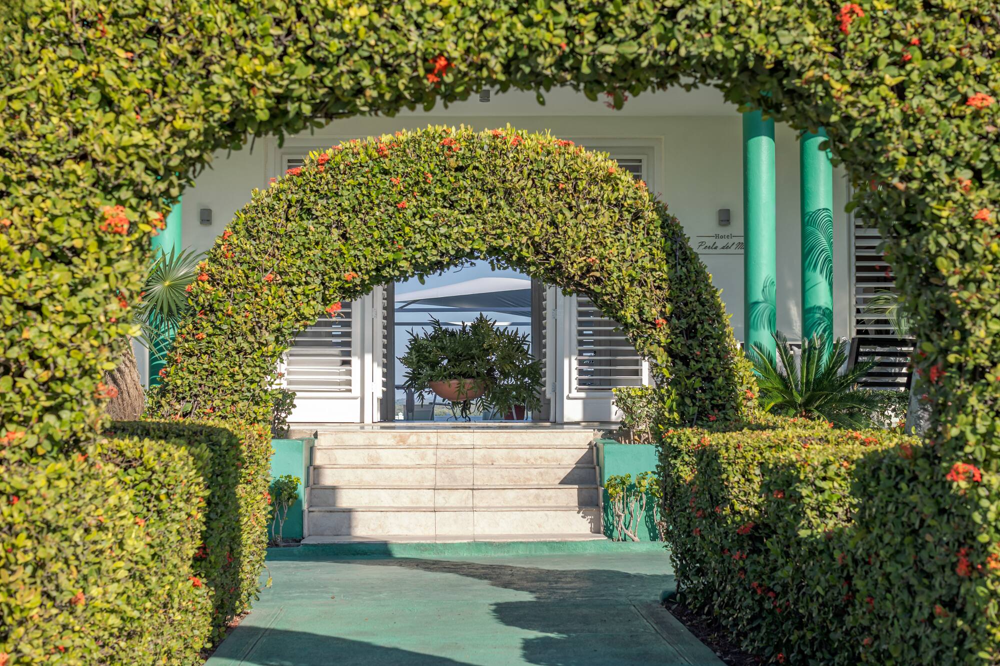 a green arch with bushes and a white building