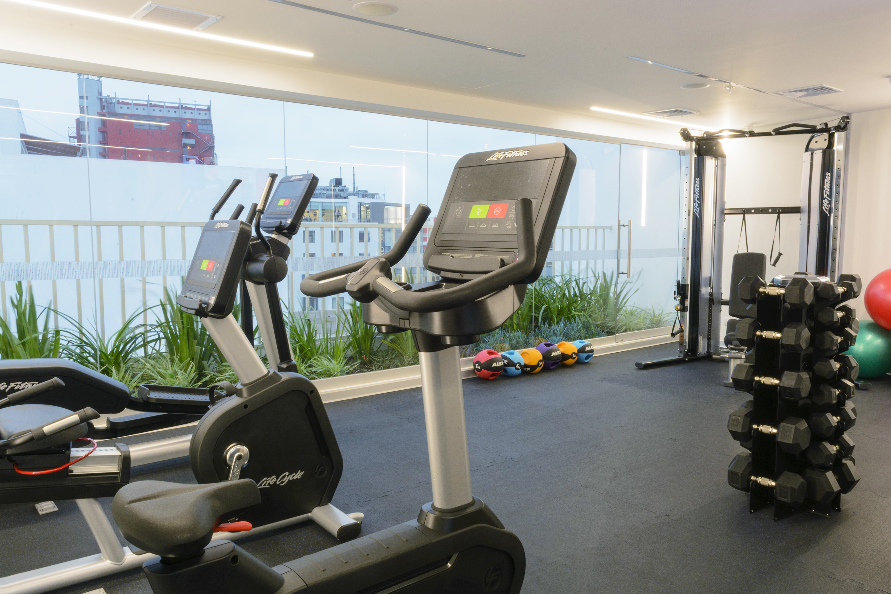 Life Fitness gym with exercise bikes, elliptical, free weights, and city views.