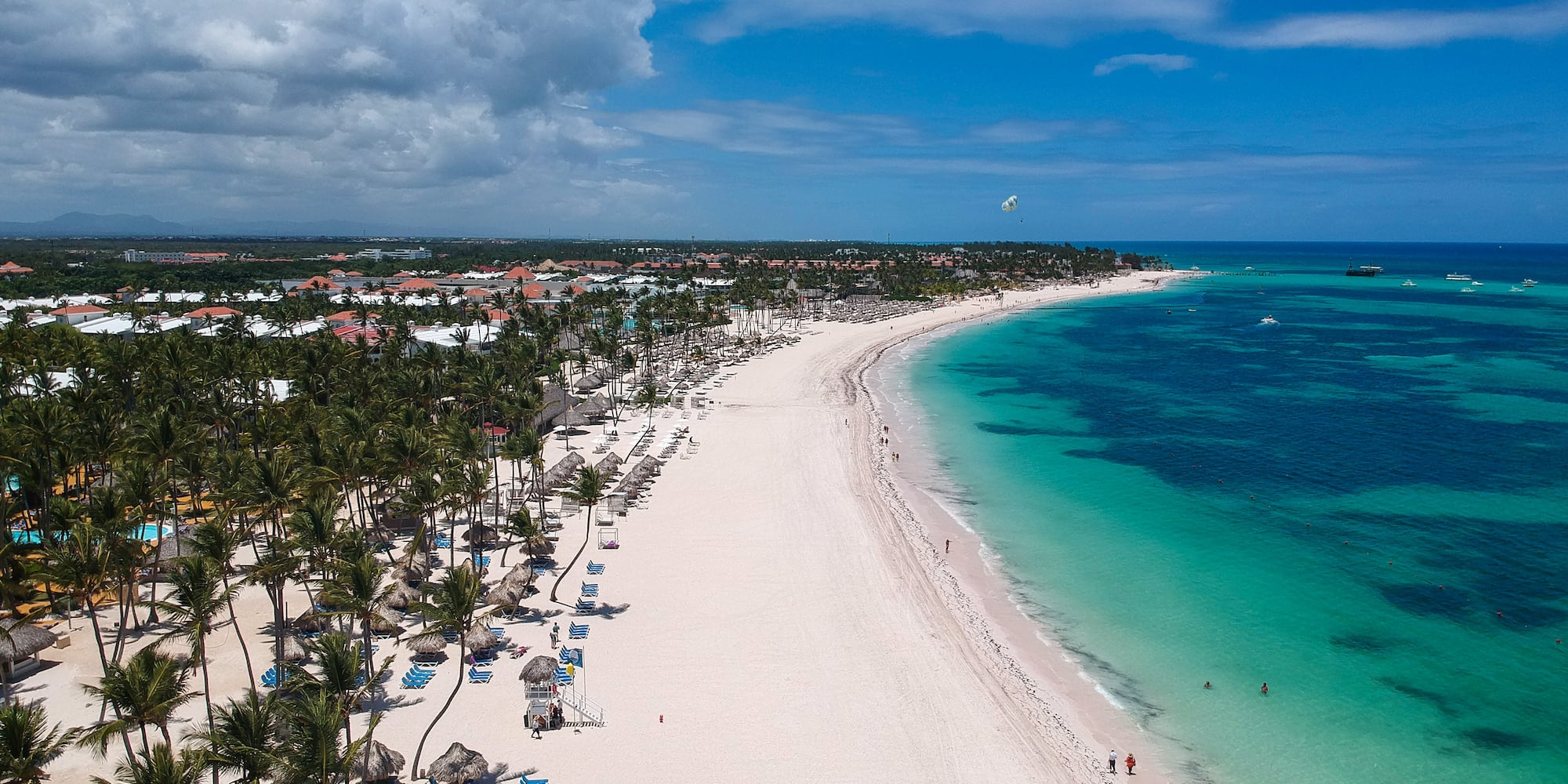 a beach with palm trees and blue water