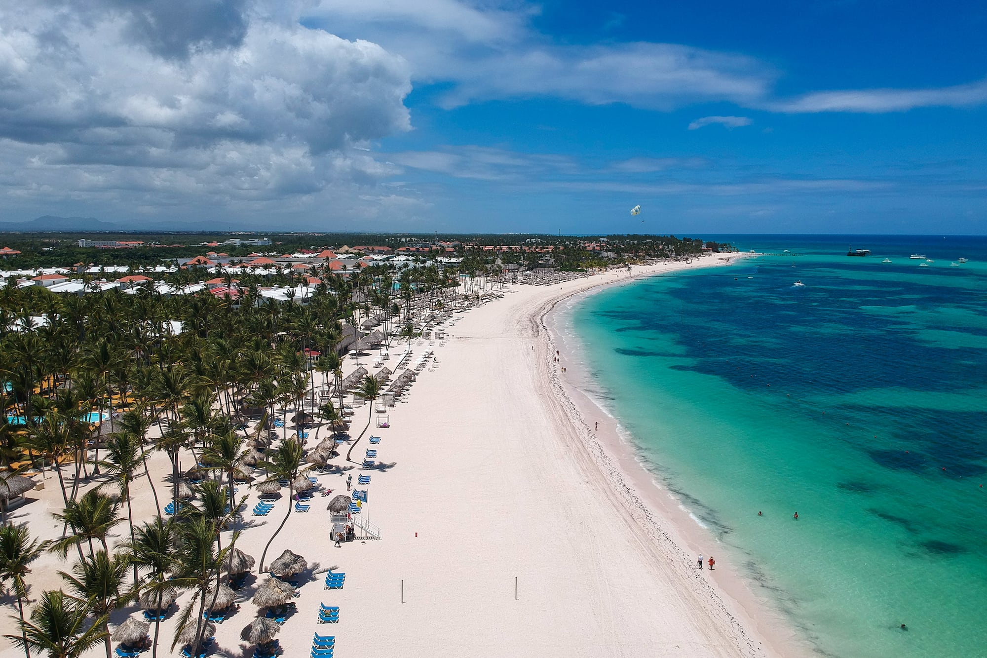 a beach with palm trees and blue water