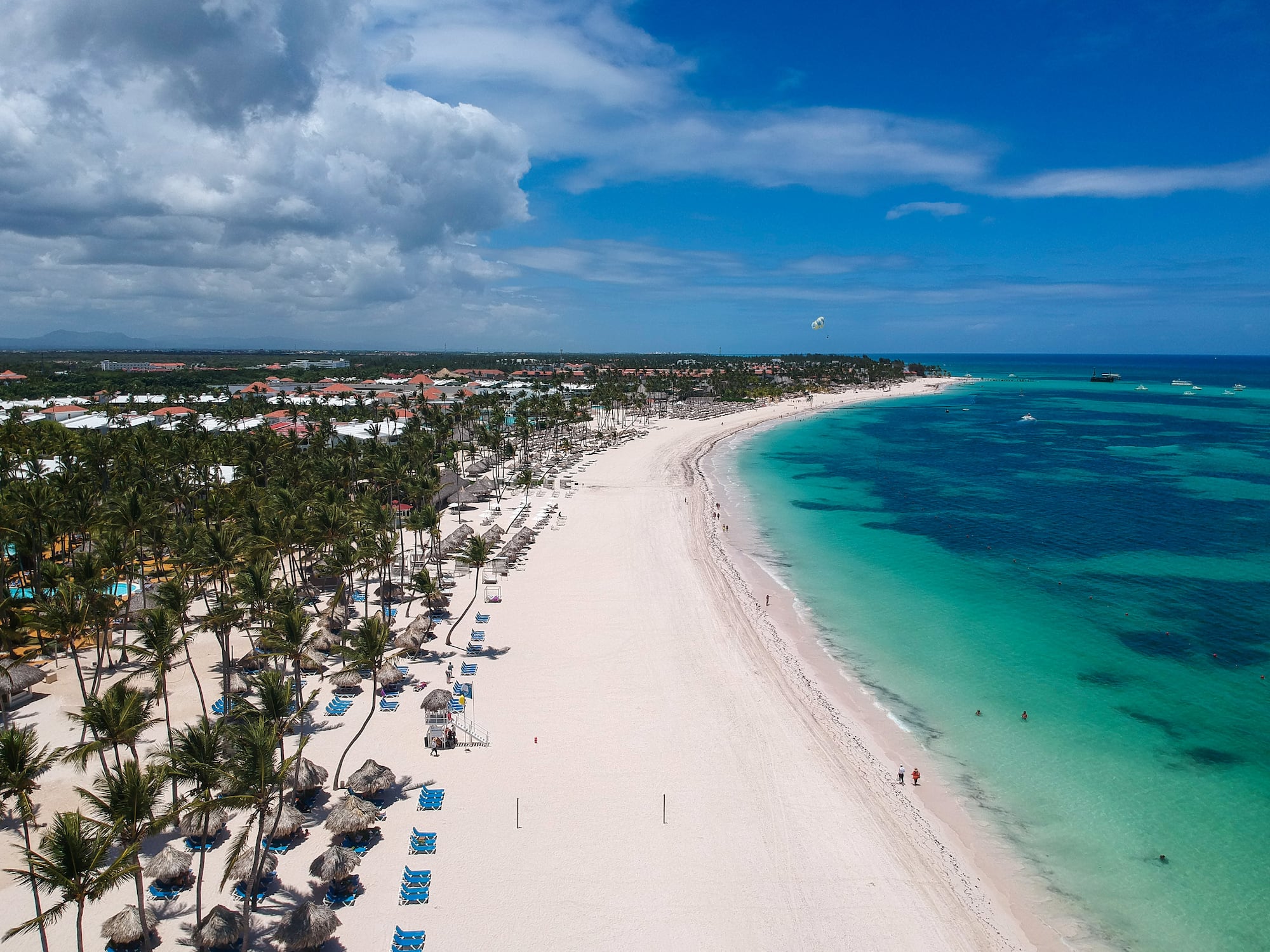 a beach with palm trees and blue water