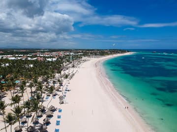 a beach with palm trees and blue water