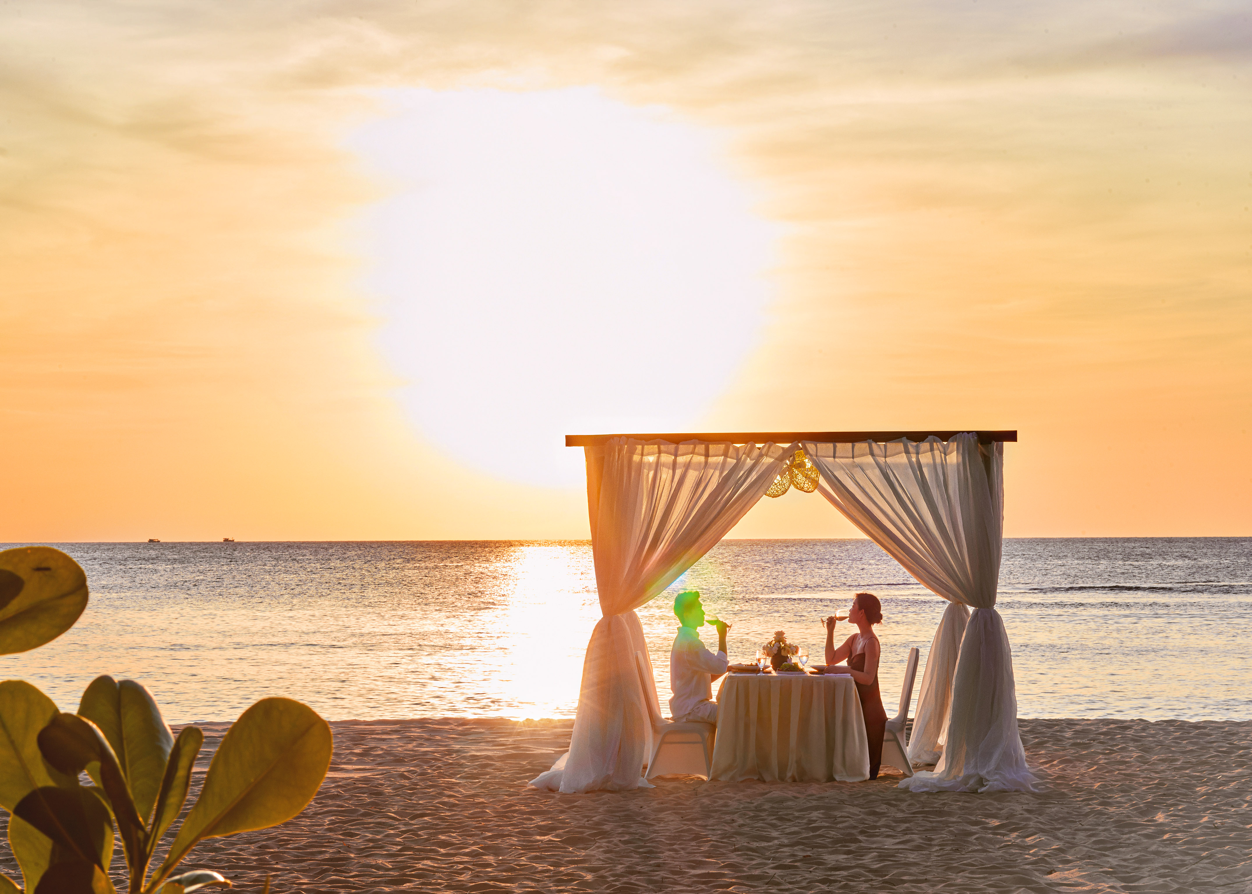 Romantic tropical beach sunset dinner for two under a canopy.