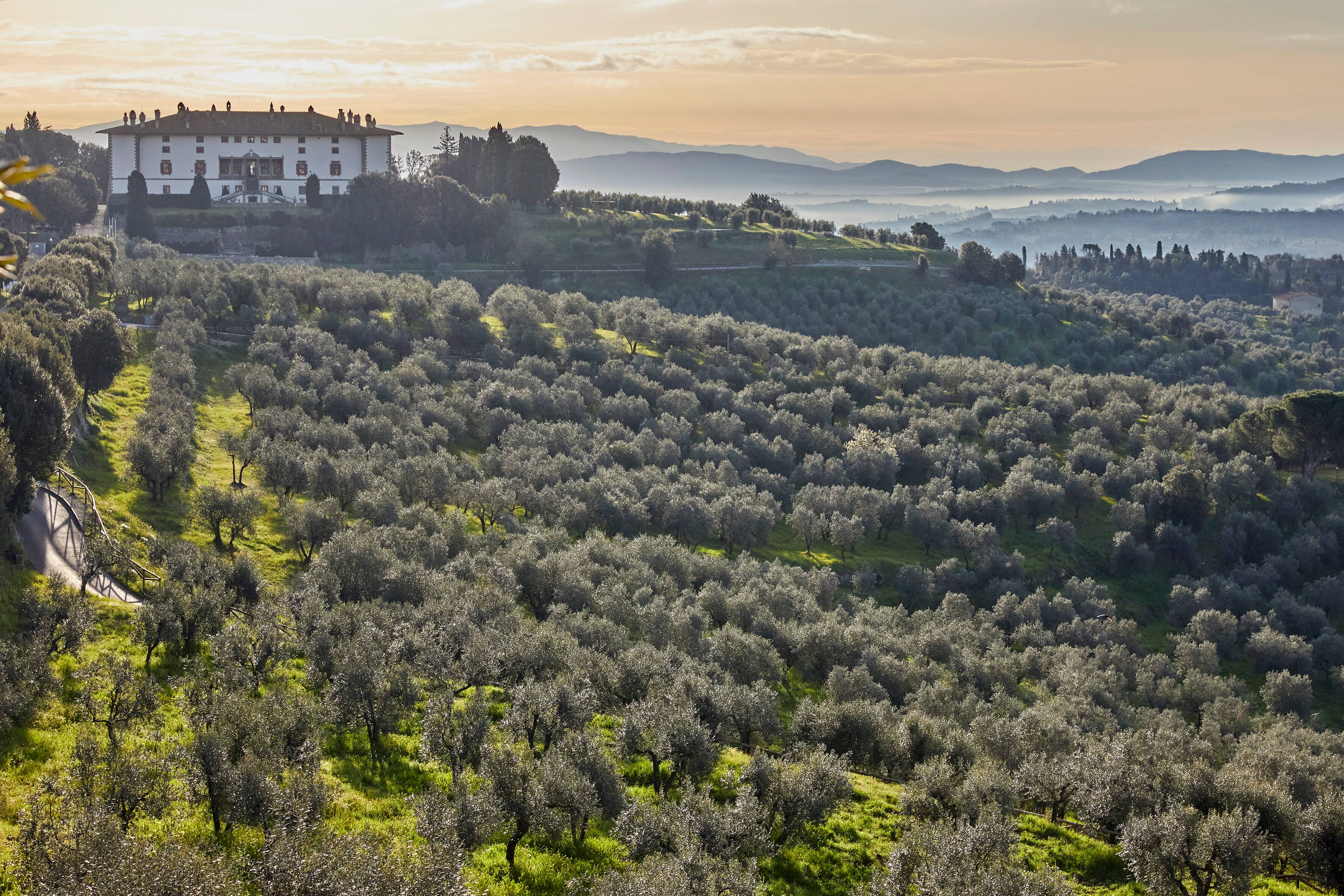 Hotel Tenuta di Artimino member of Meliá Collection