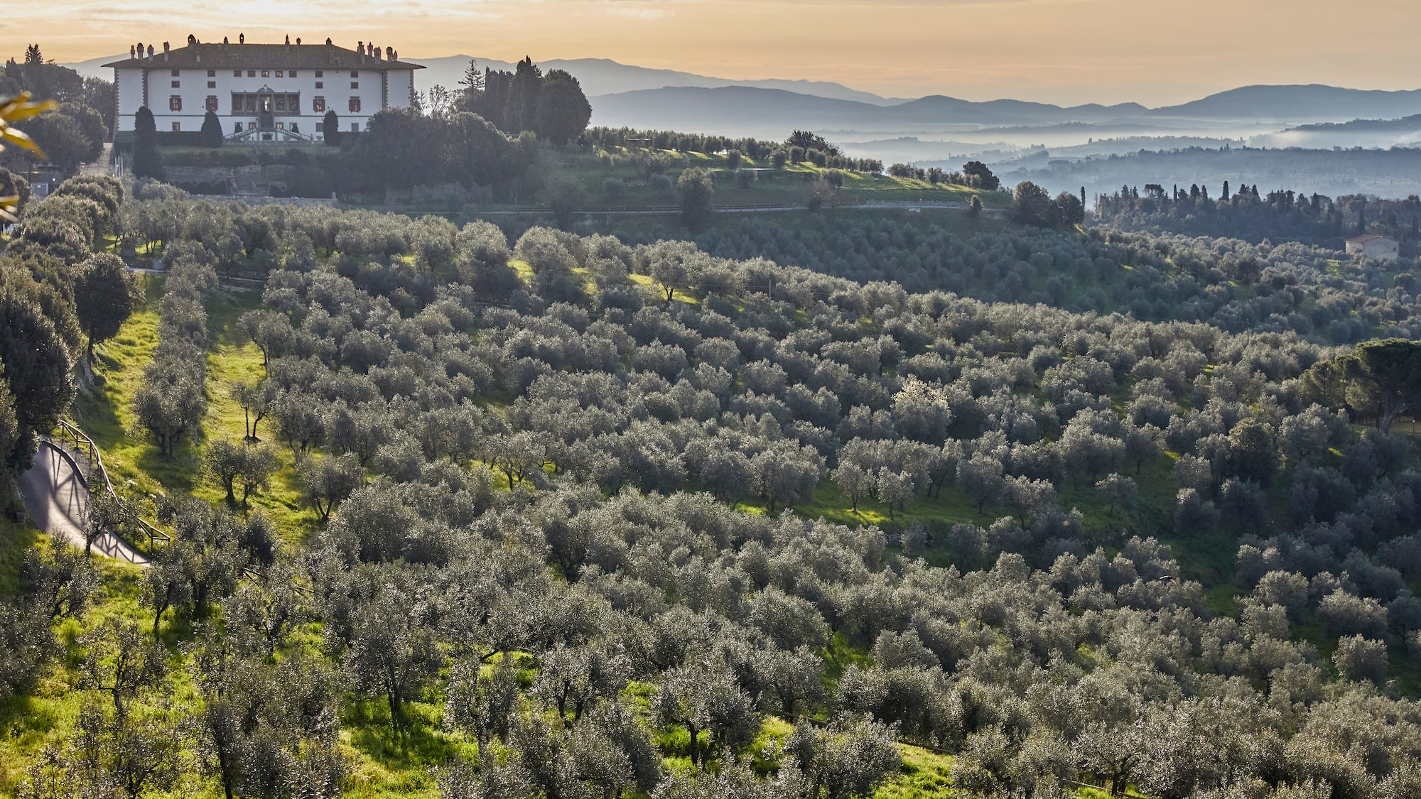 a house on a hill with trees