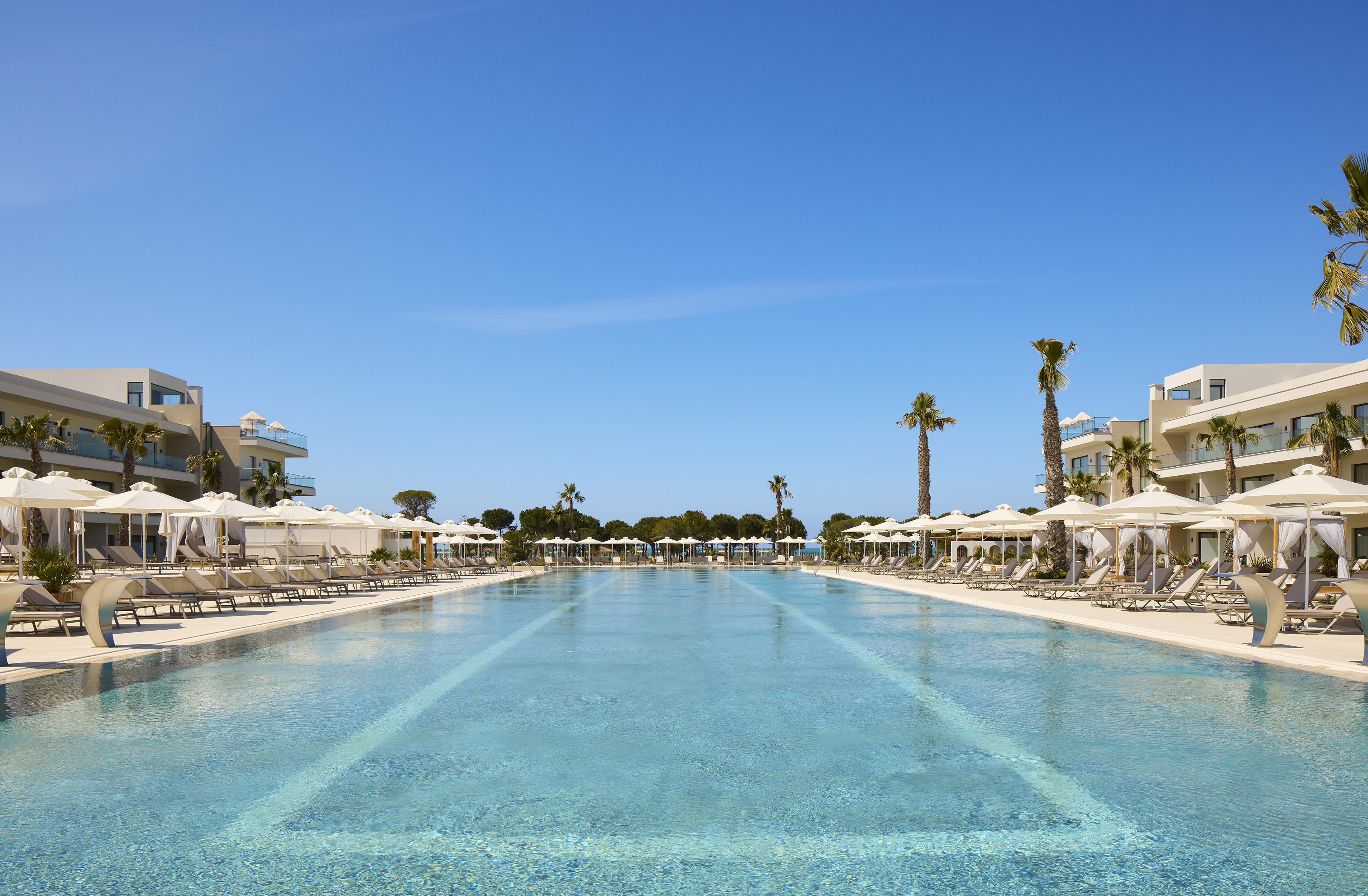 Luxury resort pool with sun loungers, palm trees, and modern hotel.