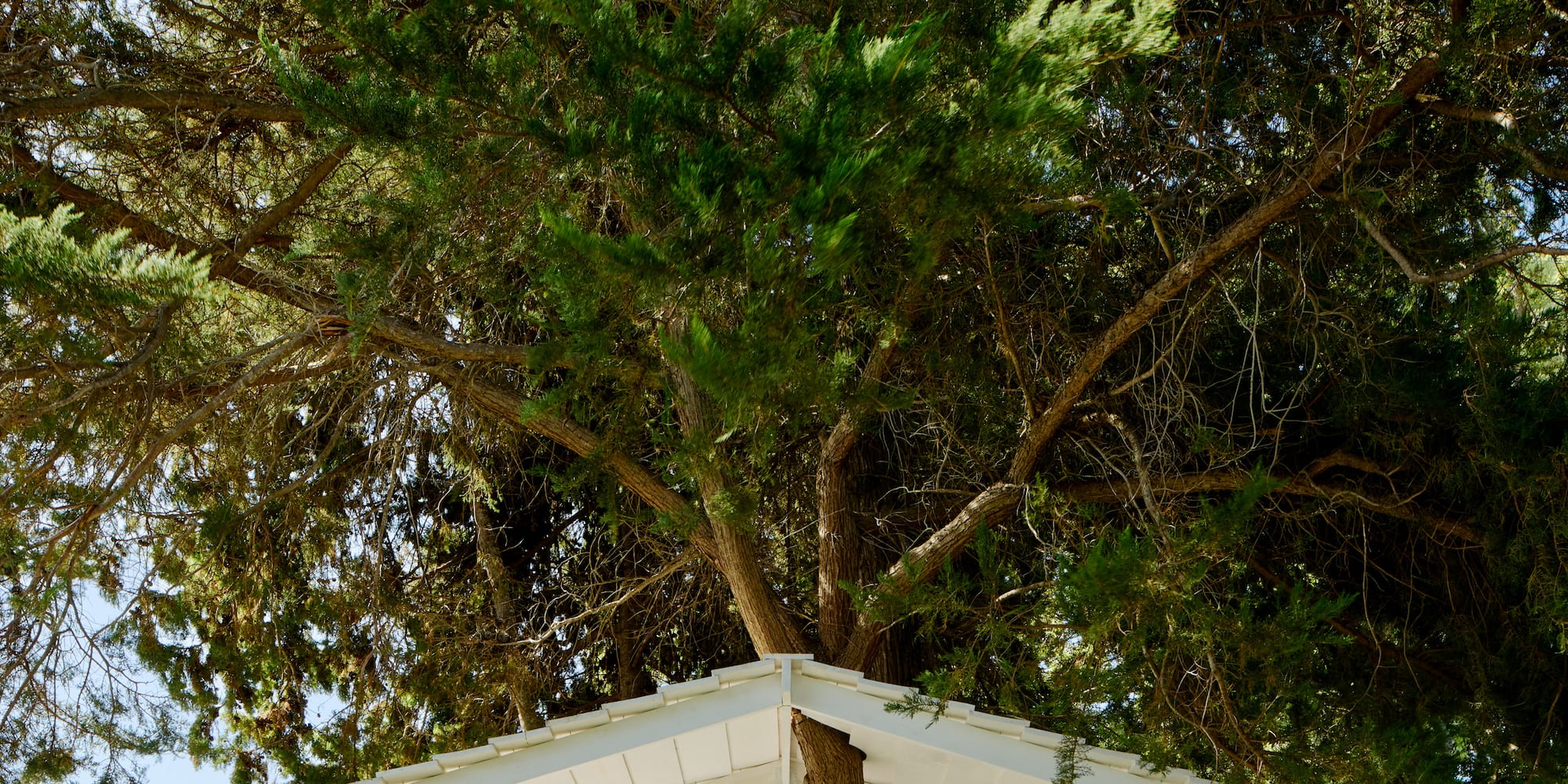 a white gazebo under a tree