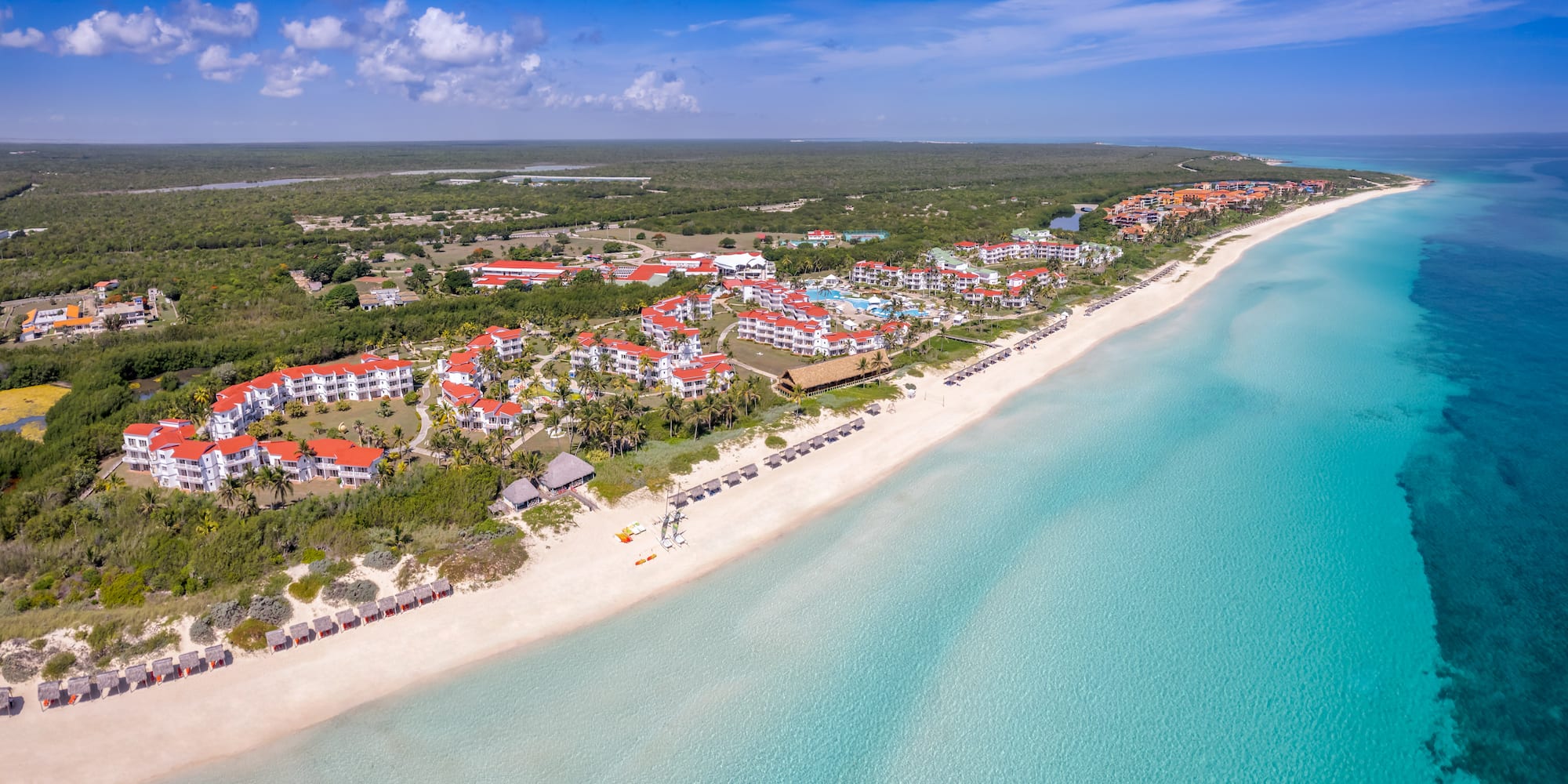 a beach with buildings and trees