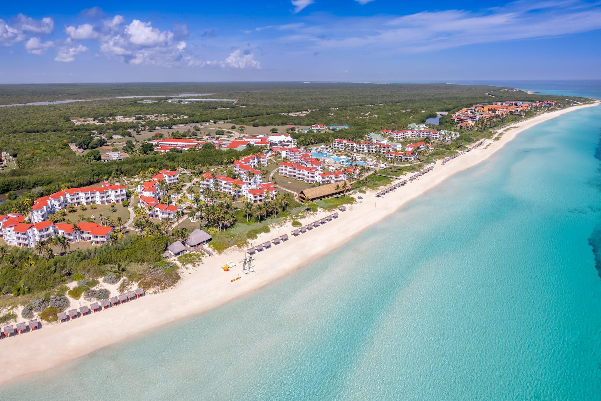 a beach with buildings and trees