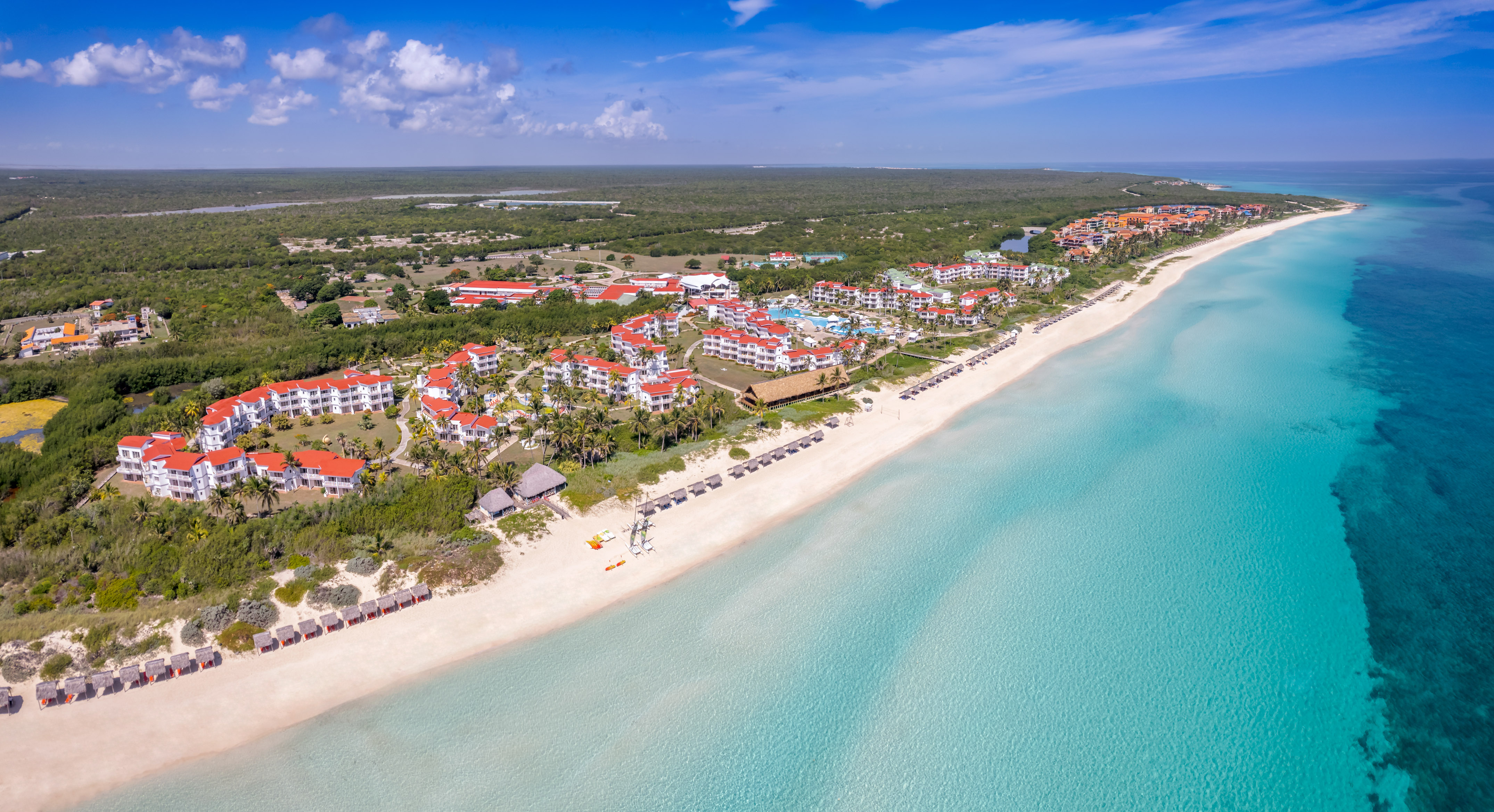 a beach with buildings and trees