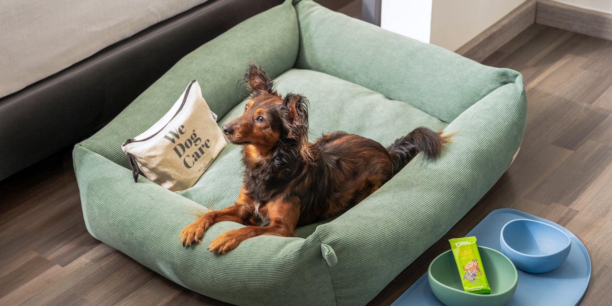 Small dog in comfy green corduroy dog bed with pet food bowls and treat.