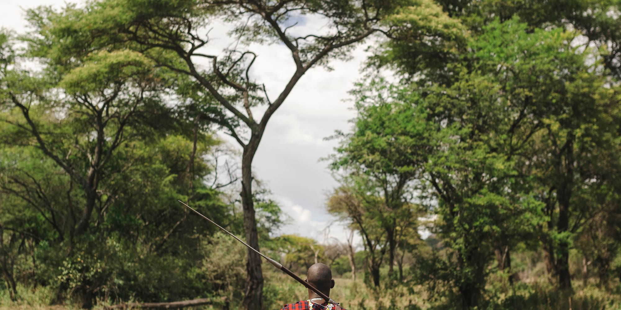 a man in a red and black robe walking through a forest