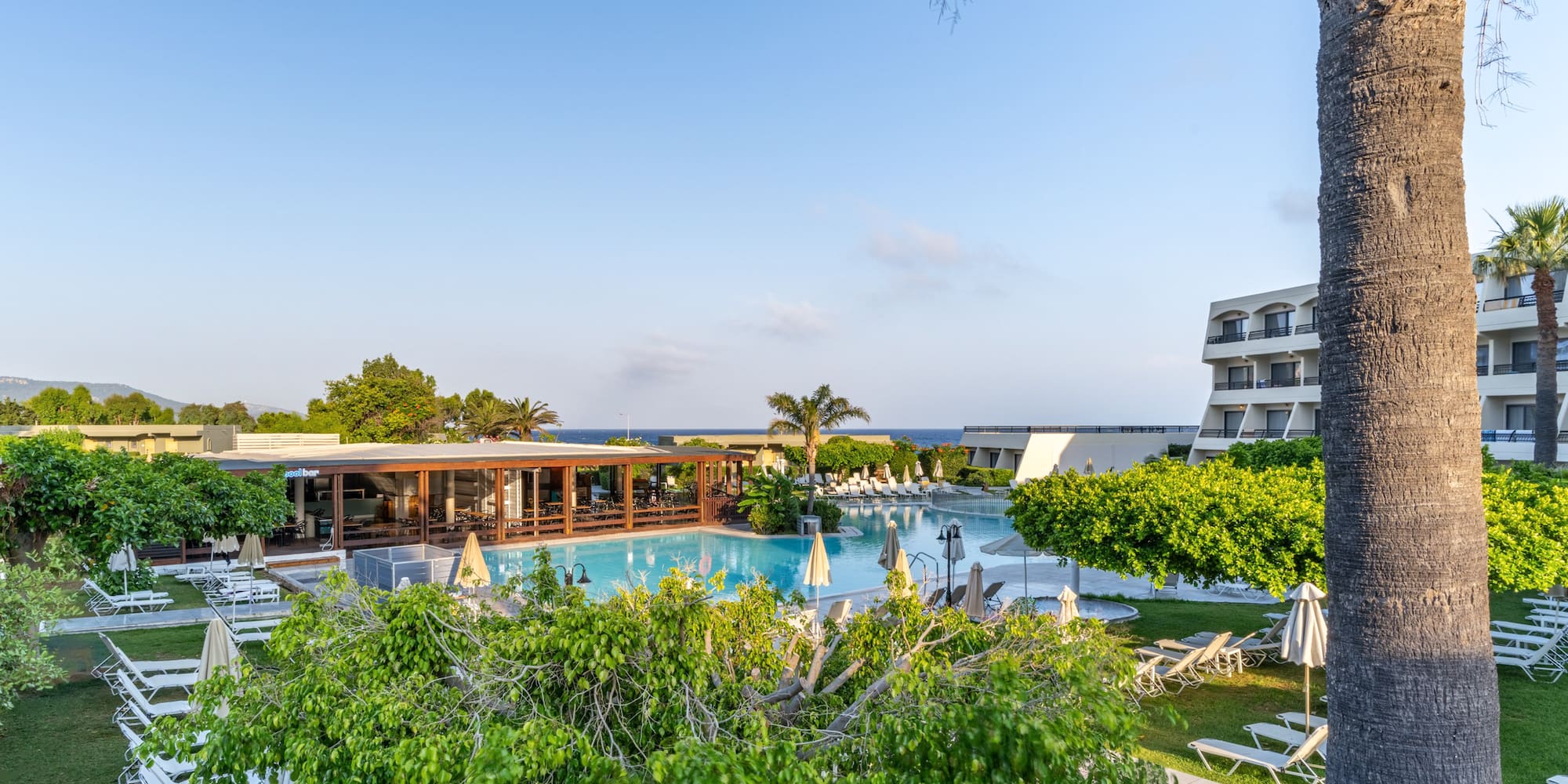 Hotel resort pool, sun loungers, palm trees, outdoor bar, and sea view.