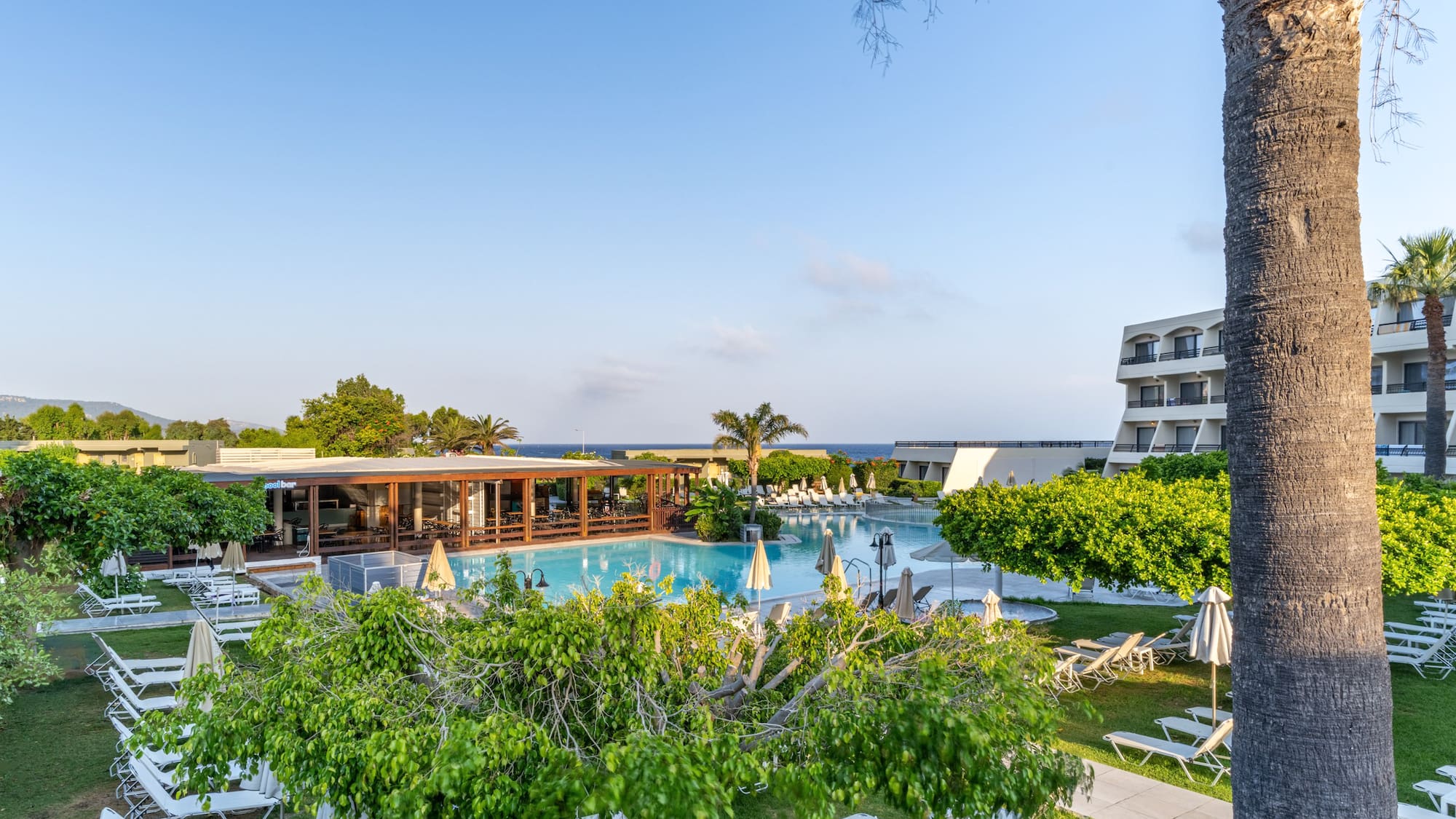 Resort swimming pool with lounge chairs, palm trees, ocean view, and pool bar.
