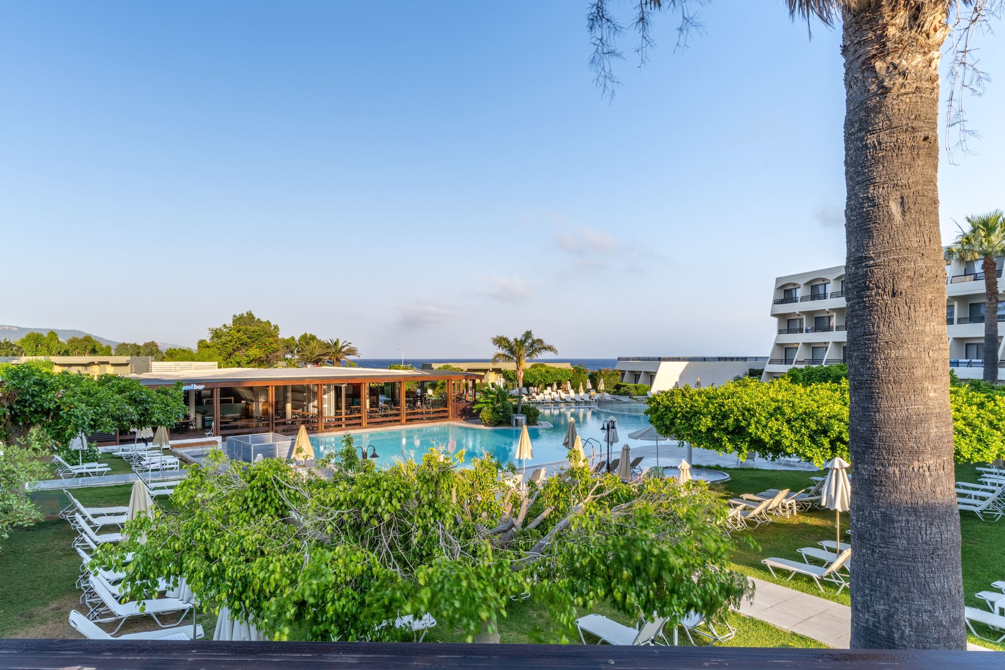Hotel resort pool, sun loungers, palm trees, outdoor bar, and sea view.