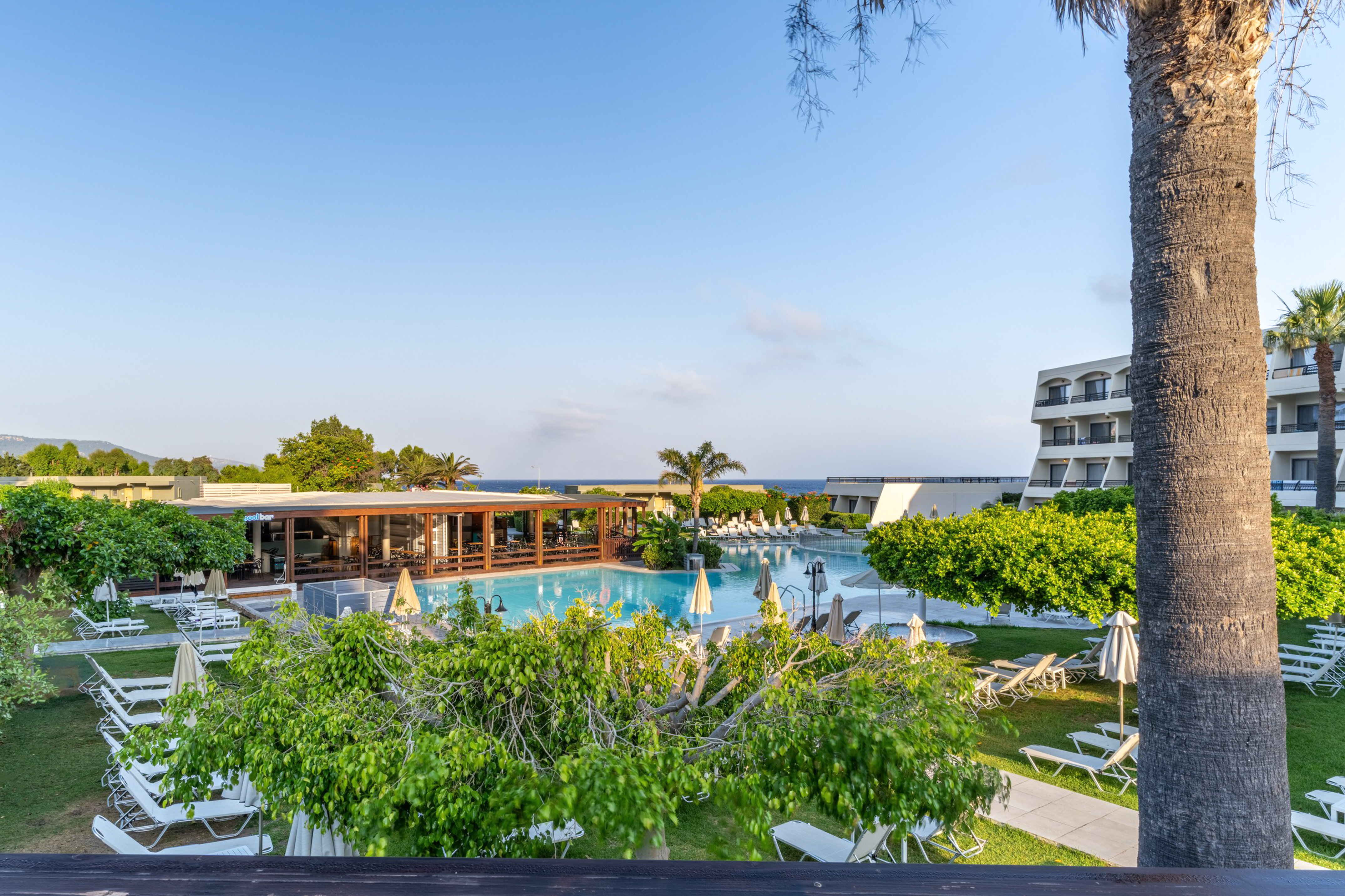 Hotel resort pool, sun loungers, palm trees, outdoor bar, and sea view.