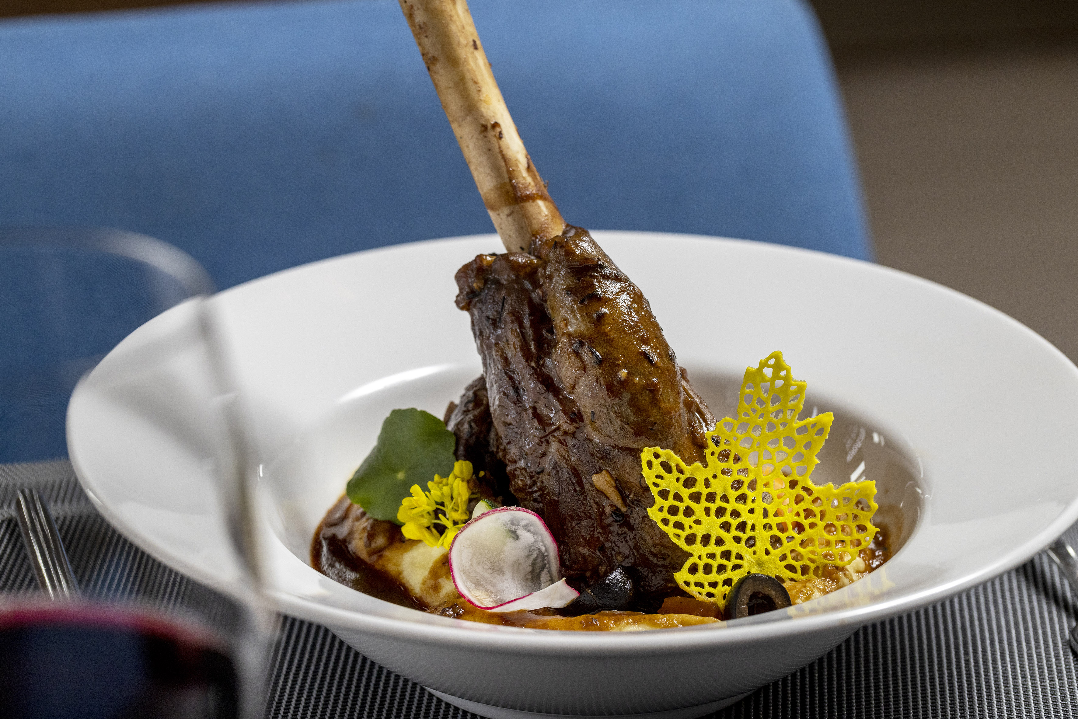 Gourmet braised lamb shank, yellow garnish, radish, and puree.