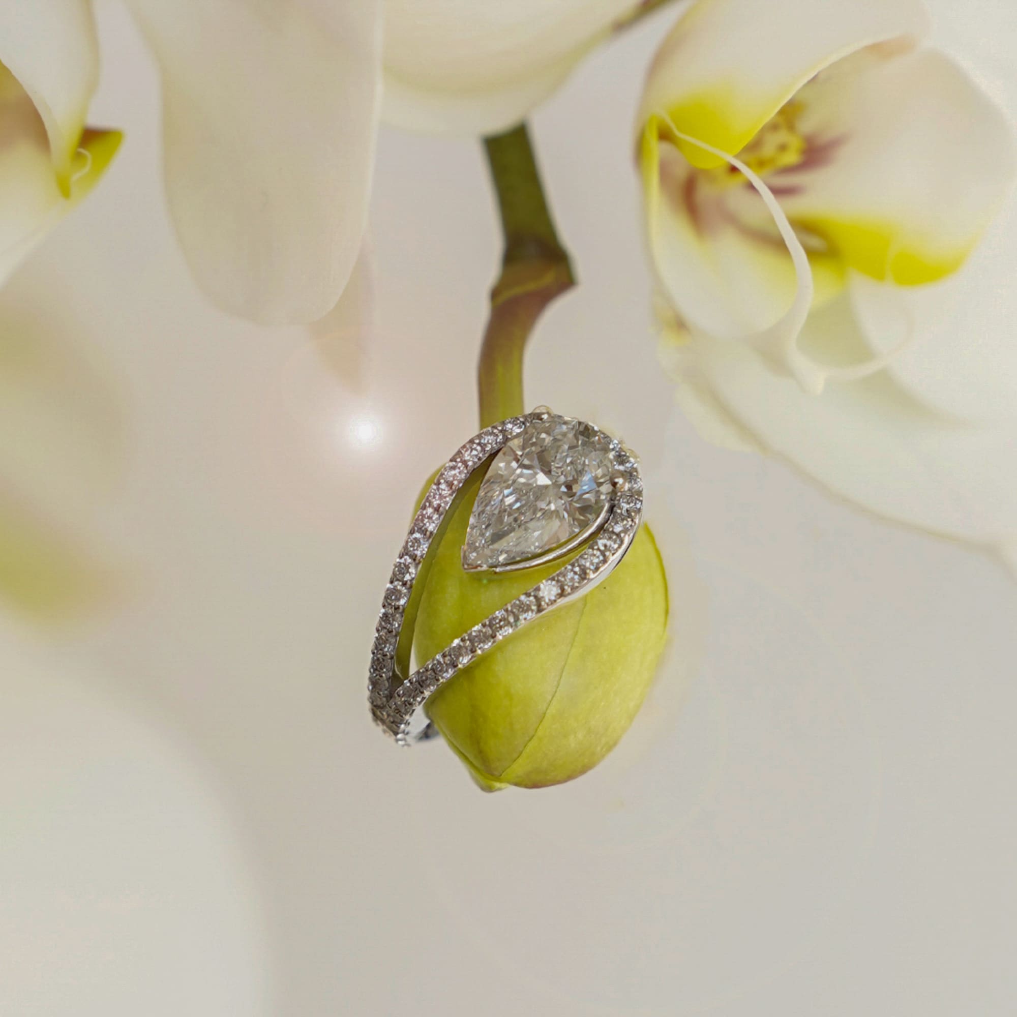 a ring on a green plant