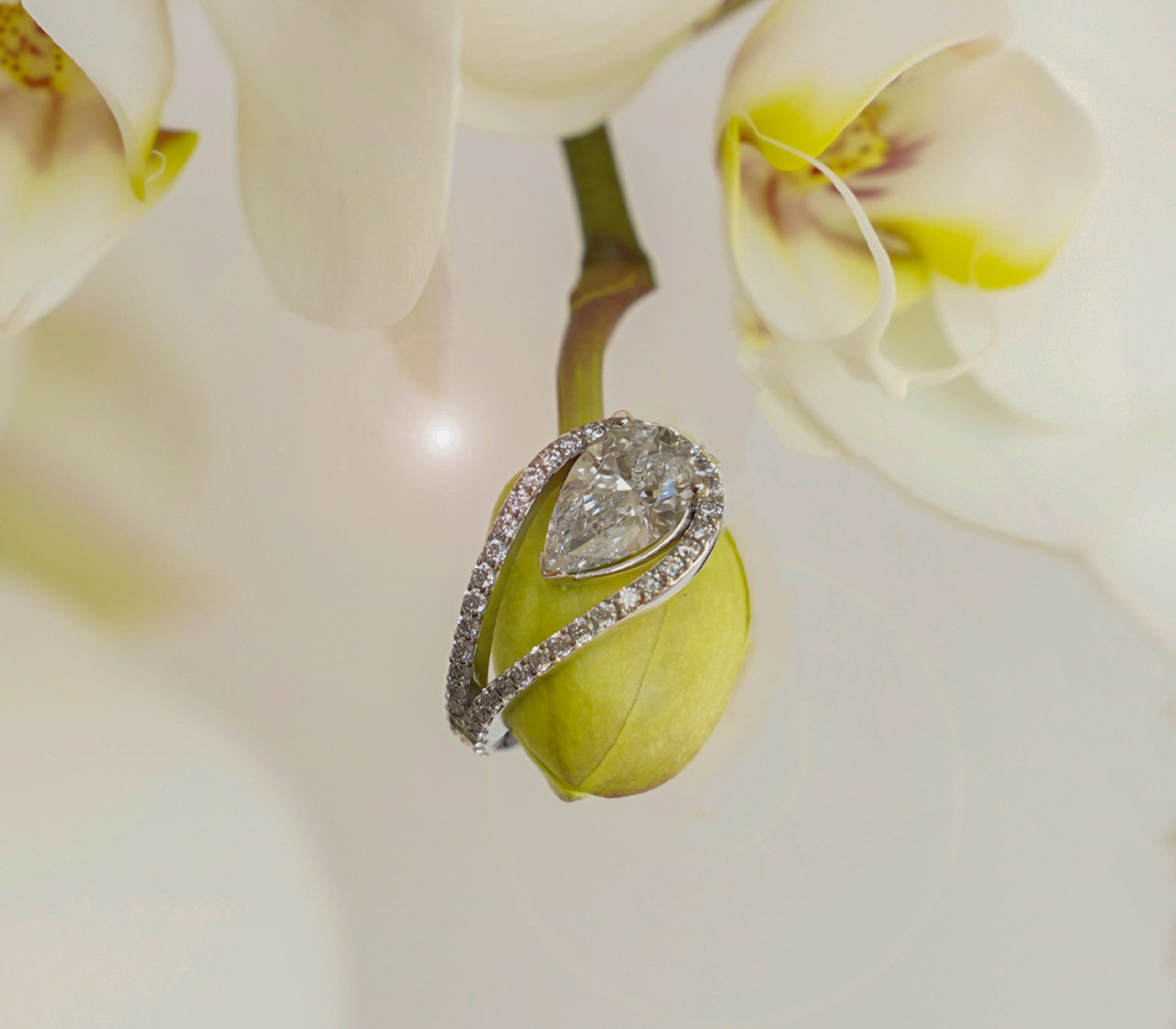 a ring on a green plant