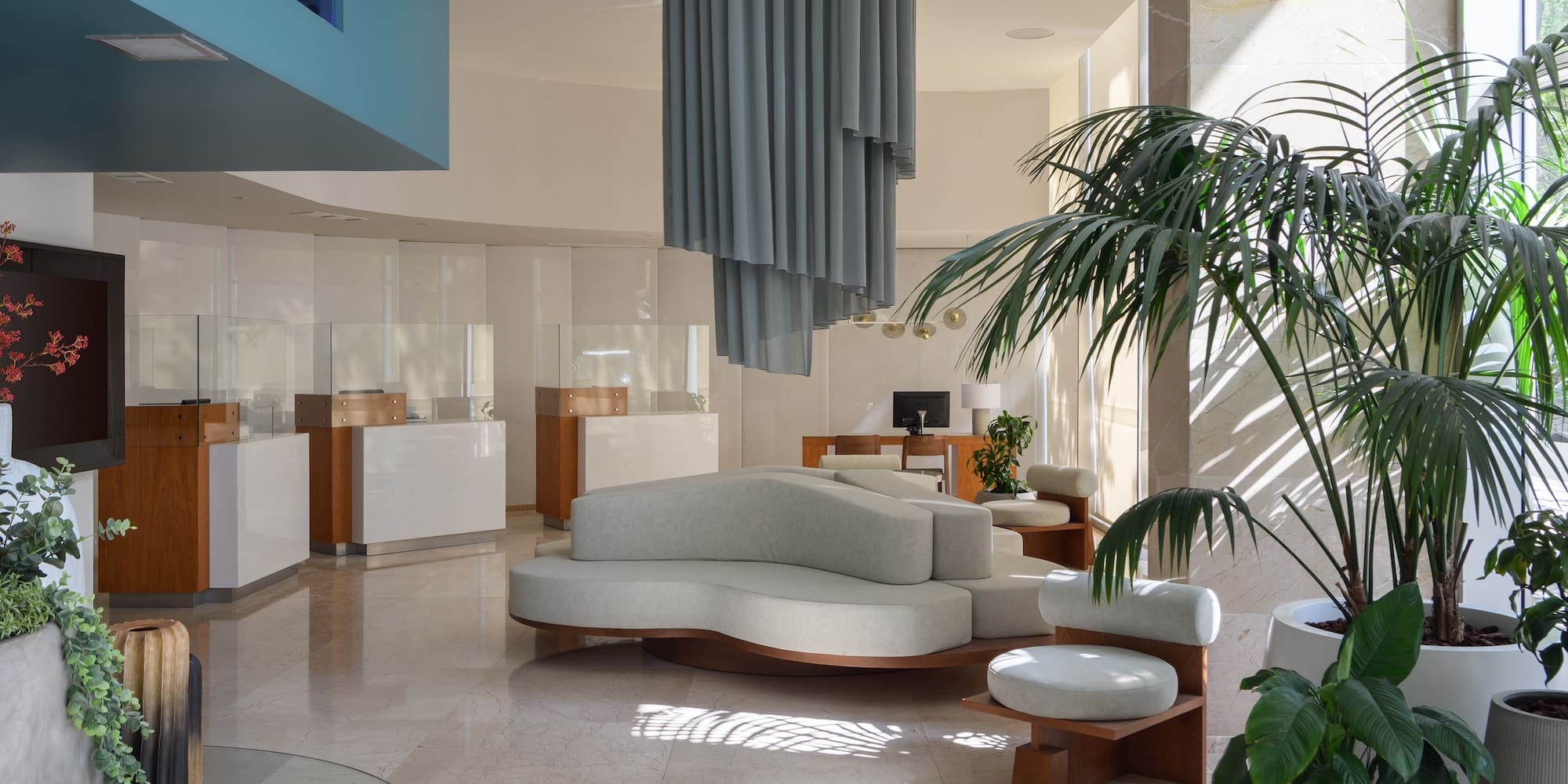 a room with a couch and a plant