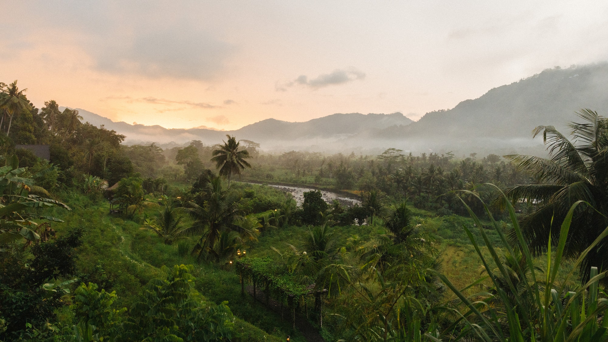 a landscape of a forest and mountains
