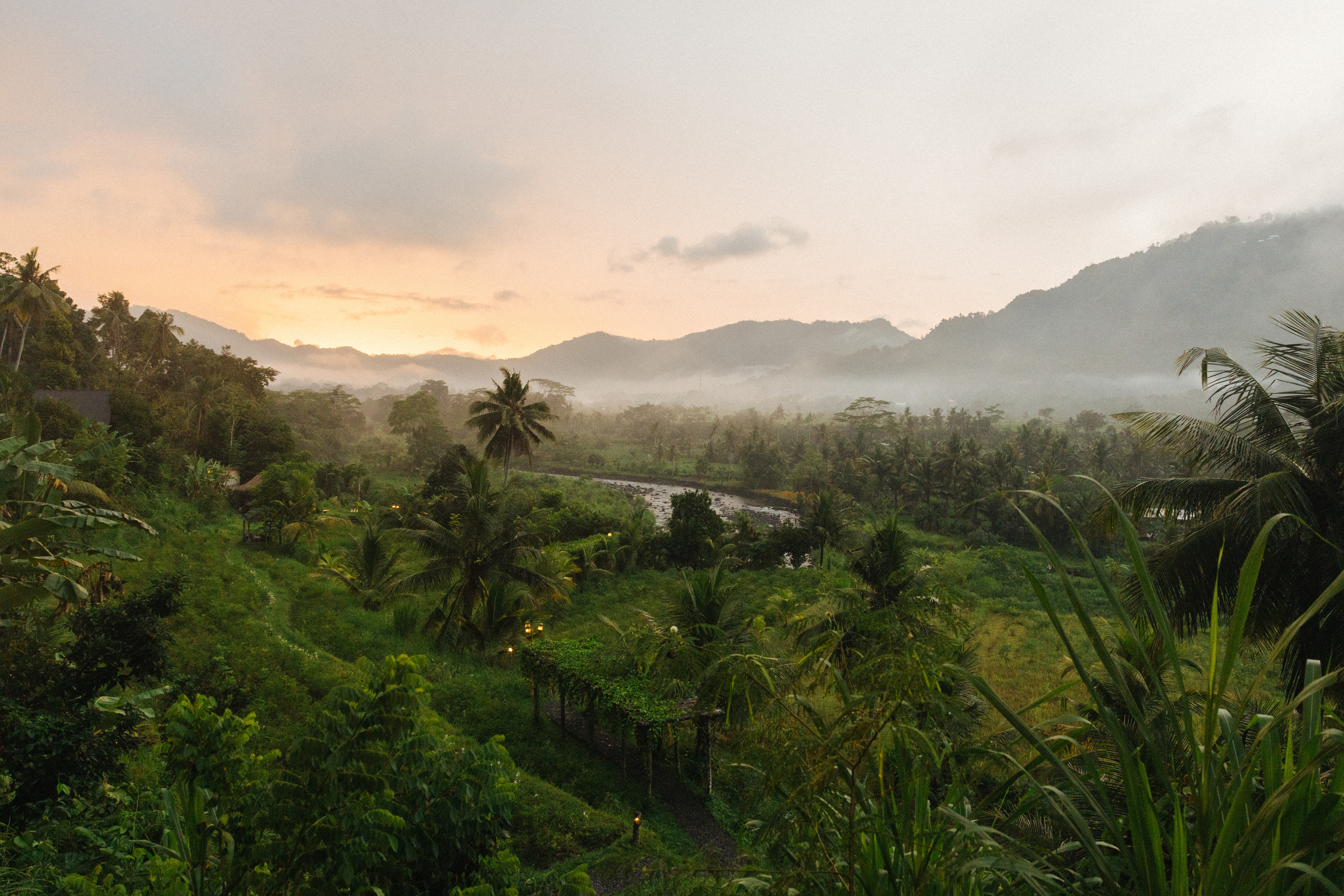 a landscape of a forest and mountains