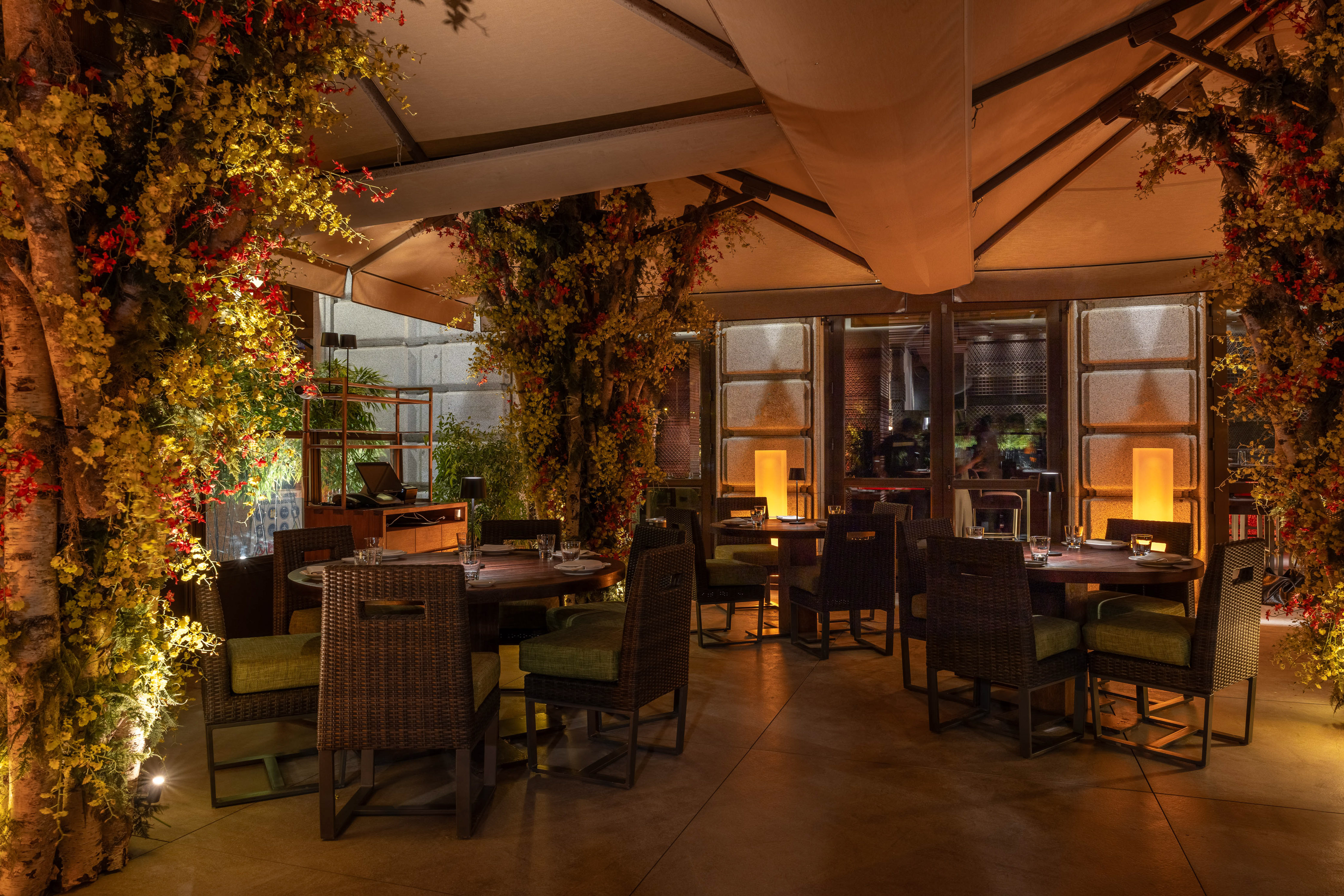 Elegant restaurant patio with flowering vines, wicker chairs, warm lighting.