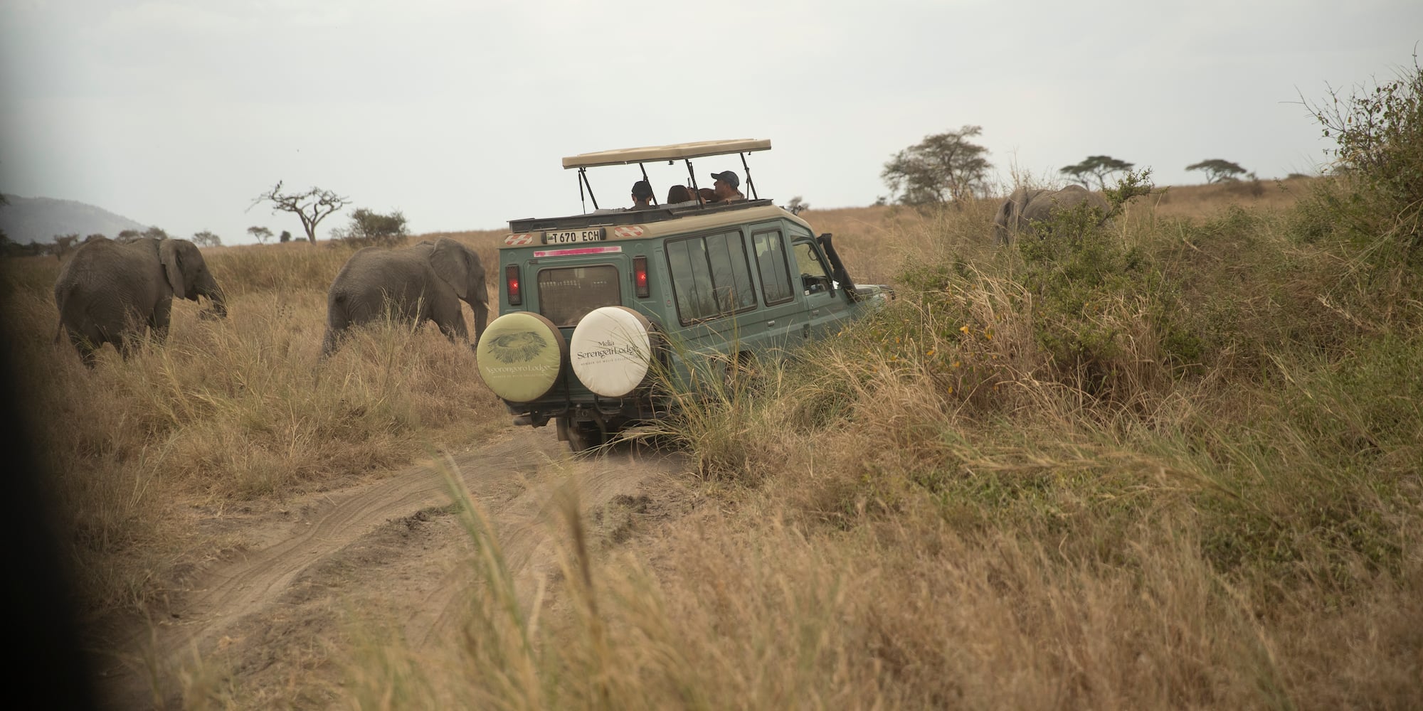 a vehicle driving through a grassy field