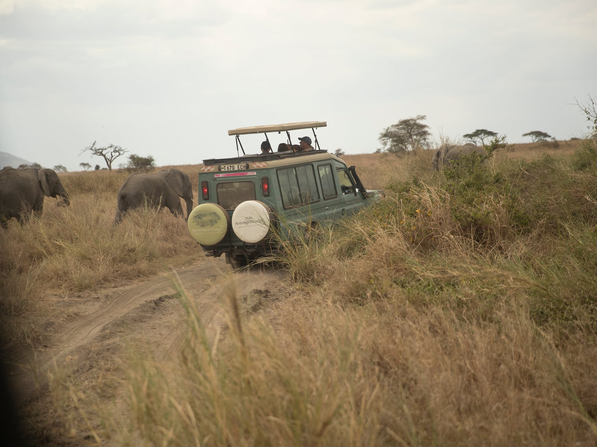 a vehicle driving through a grassy field