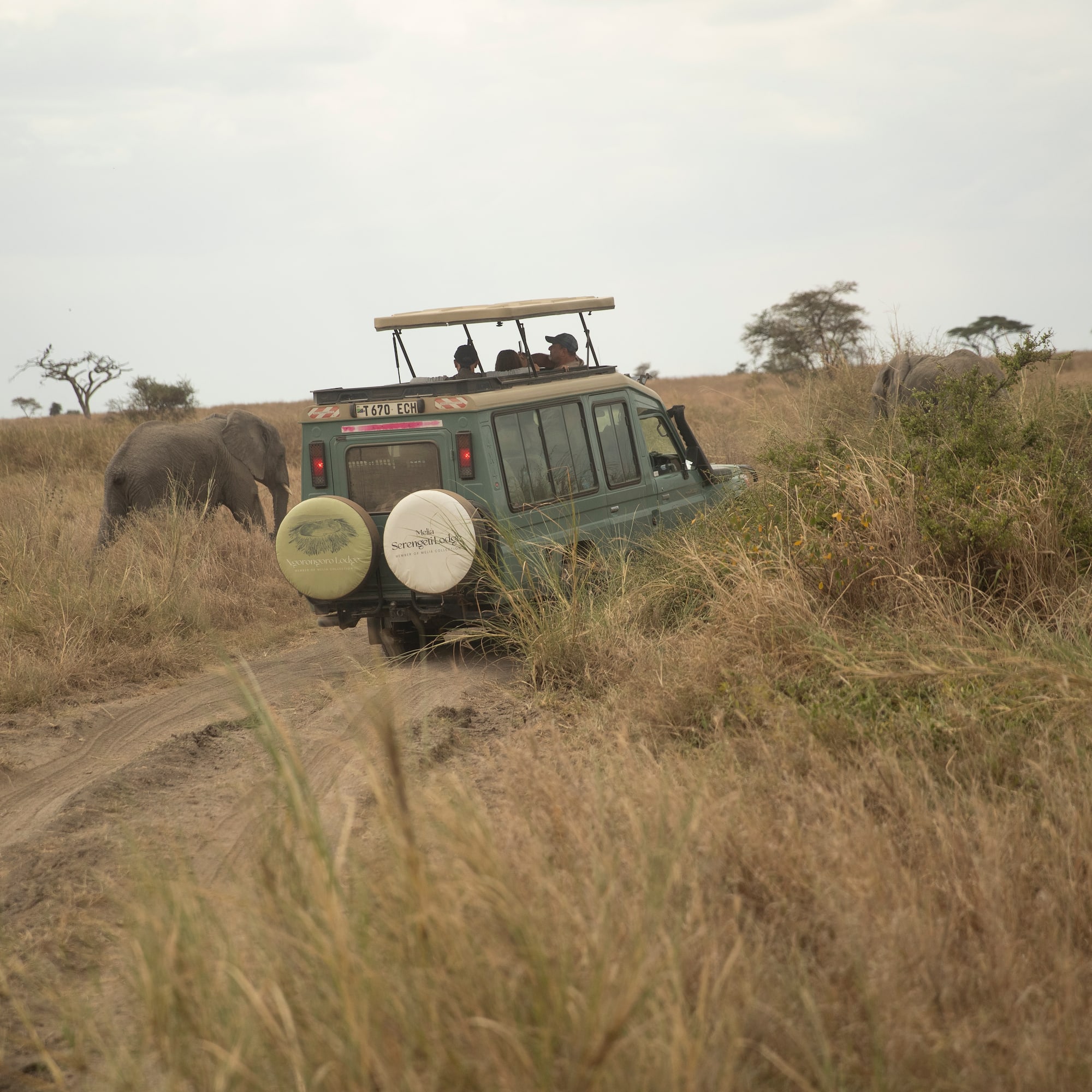 a vehicle driving through a grassy field